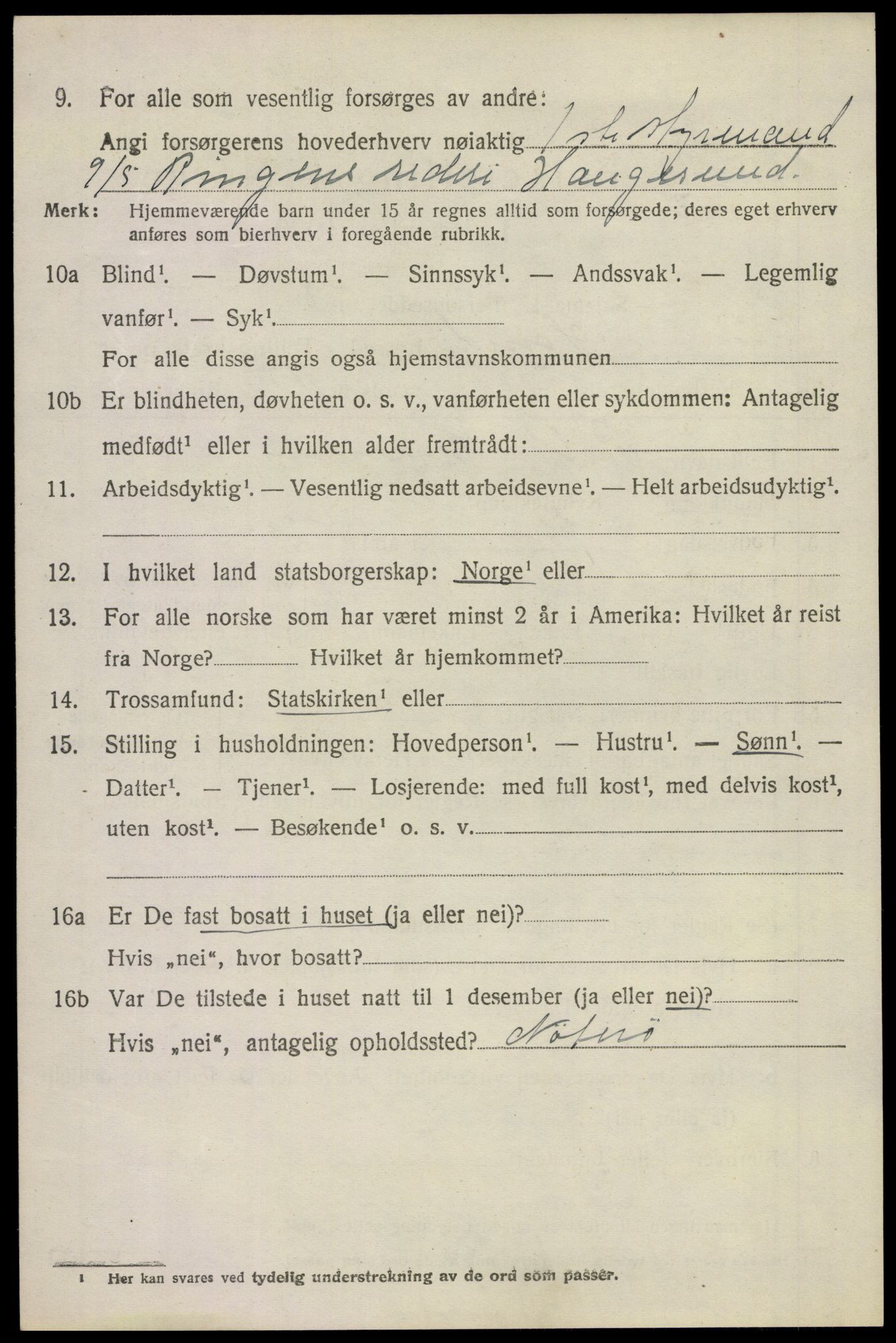 SAKO, 1920 census for Sandeherred, 1920, p. 20173