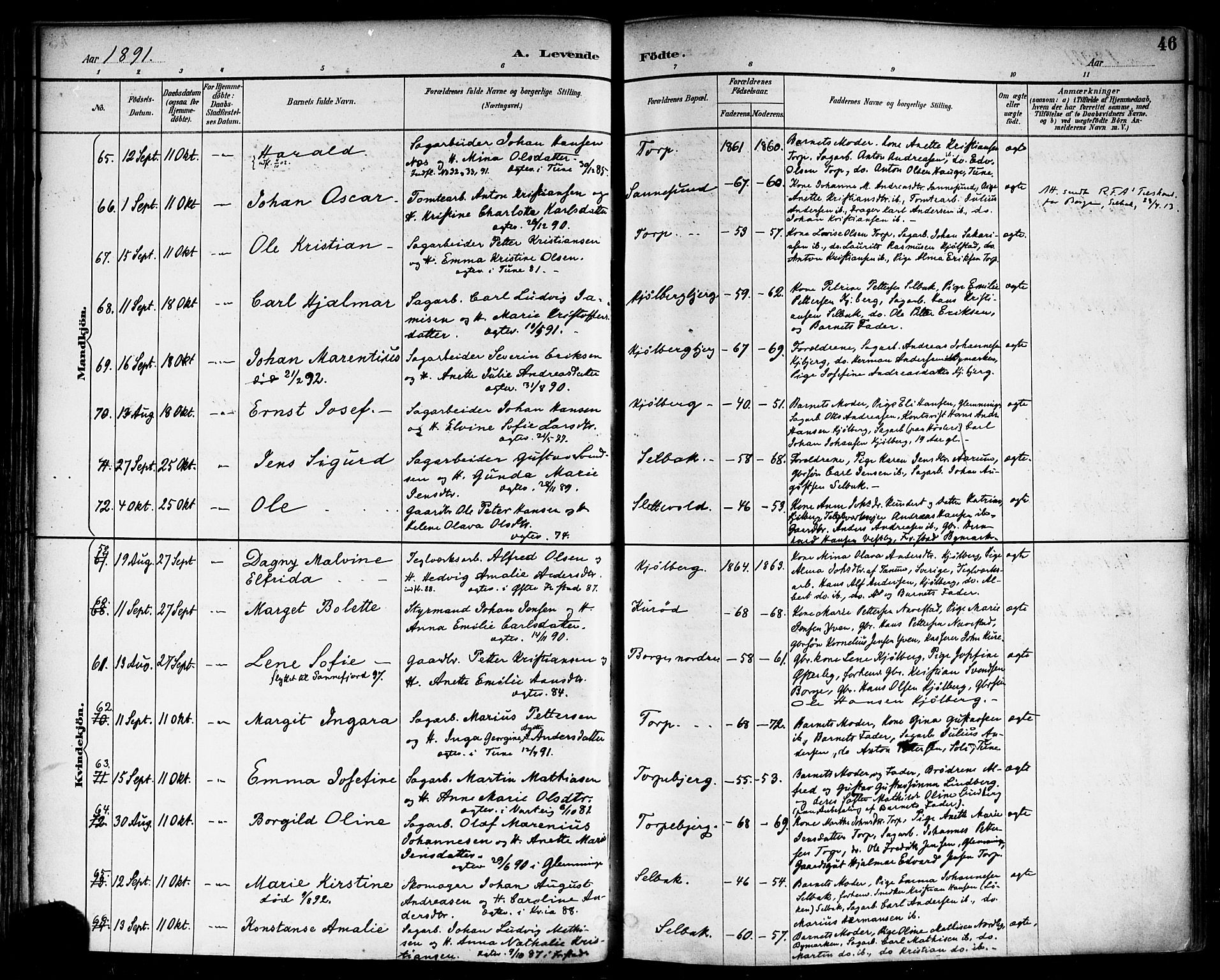 Borge prestekontor Kirkebøker, SAO/A-10903/F/Fa/L0008: Parish register (official) no. I 8A, 1887-1902, p. 46