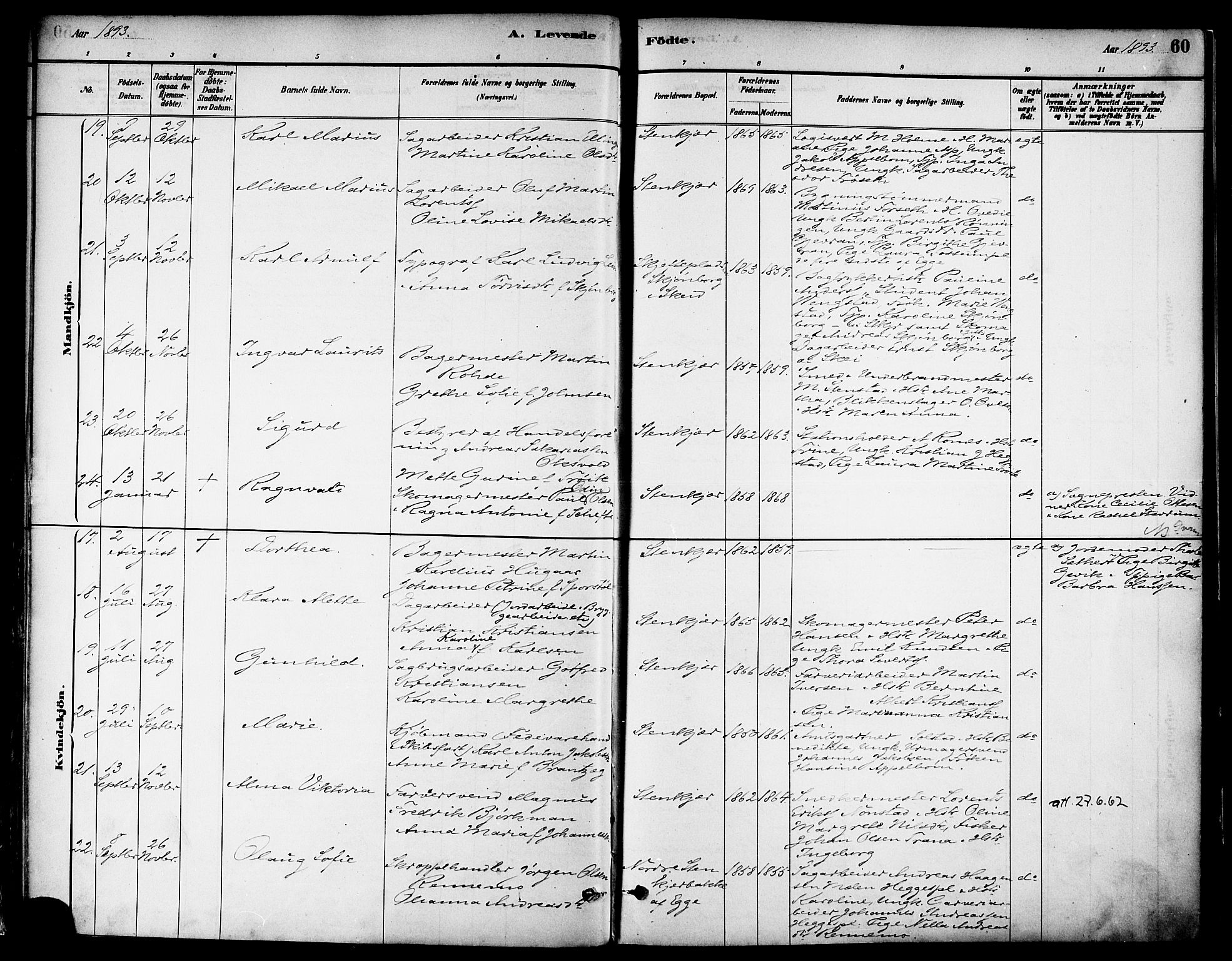 Ministerialprotokoller, klokkerbøker og fødselsregistre - Nord-Trøndelag, SAT/A-1458/739/L0371: Parish register (official) no. 739A03, 1881-1895, p. 60