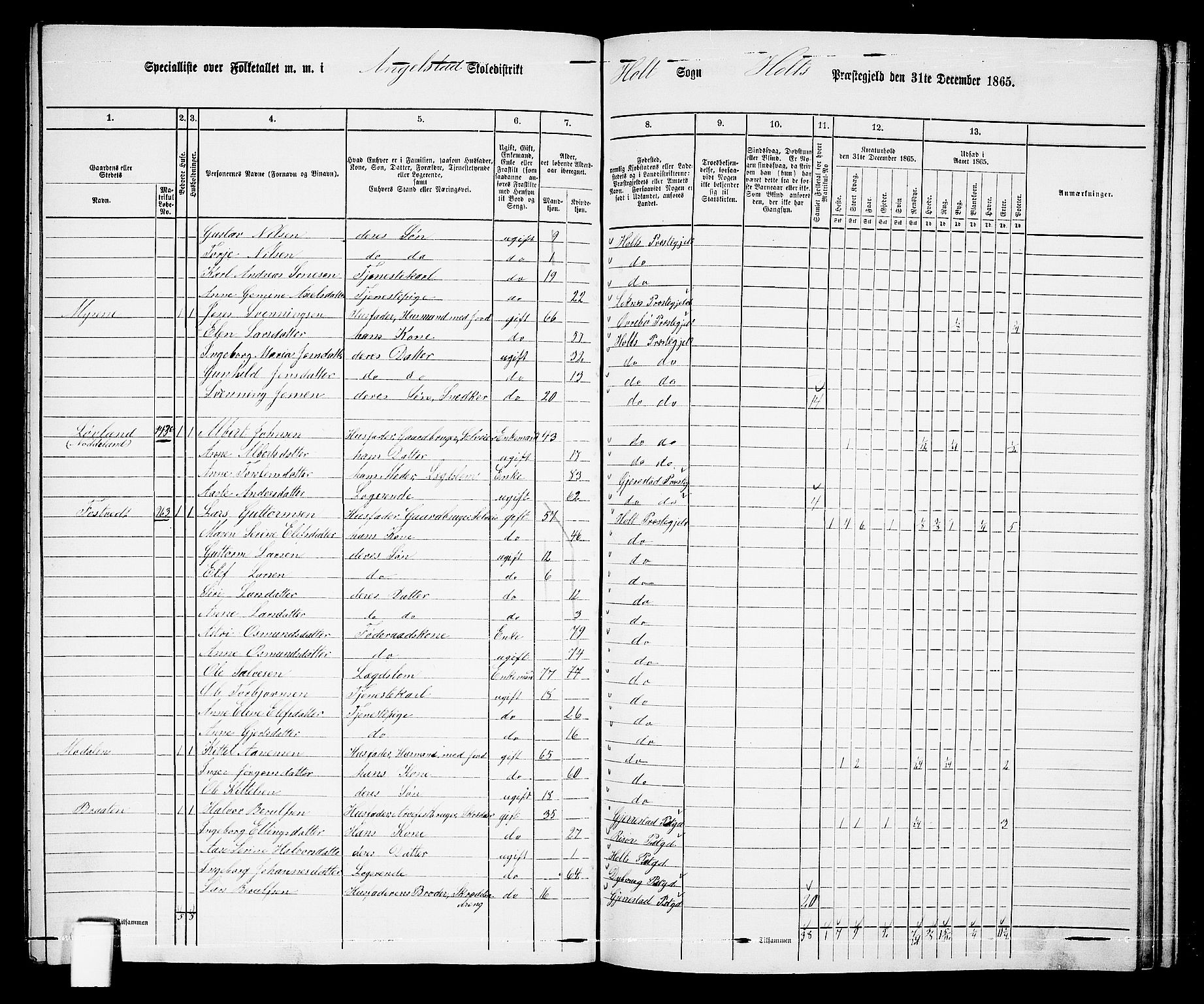 RA, 1865 census for Holt/Holt, 1865, p. 155