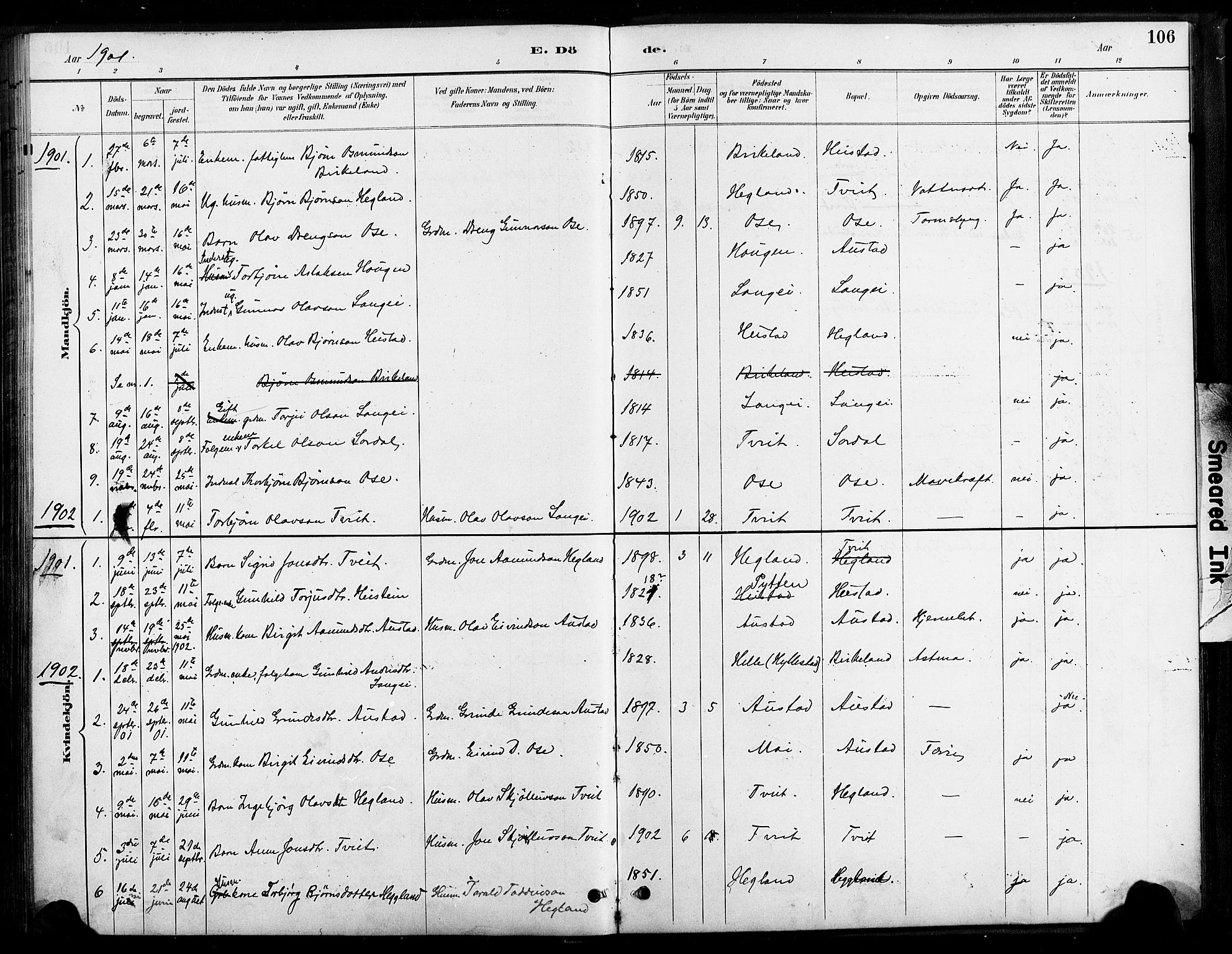 Bygland sokneprestkontor, SAK/1111-0006/F/Fa/Faa/L0001: Parish register (official) no. A 1, 1885-1908, p. 106