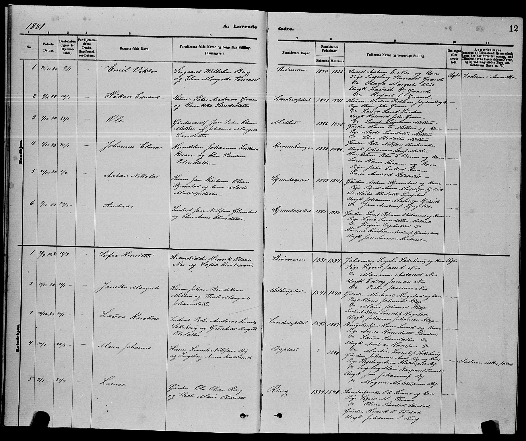 Ministerialprotokoller, klokkerbøker og fødselsregistre - Nord-Trøndelag, SAT/A-1458/730/L0301: Parish register (copy) no. 730C04, 1880-1897, p. 12