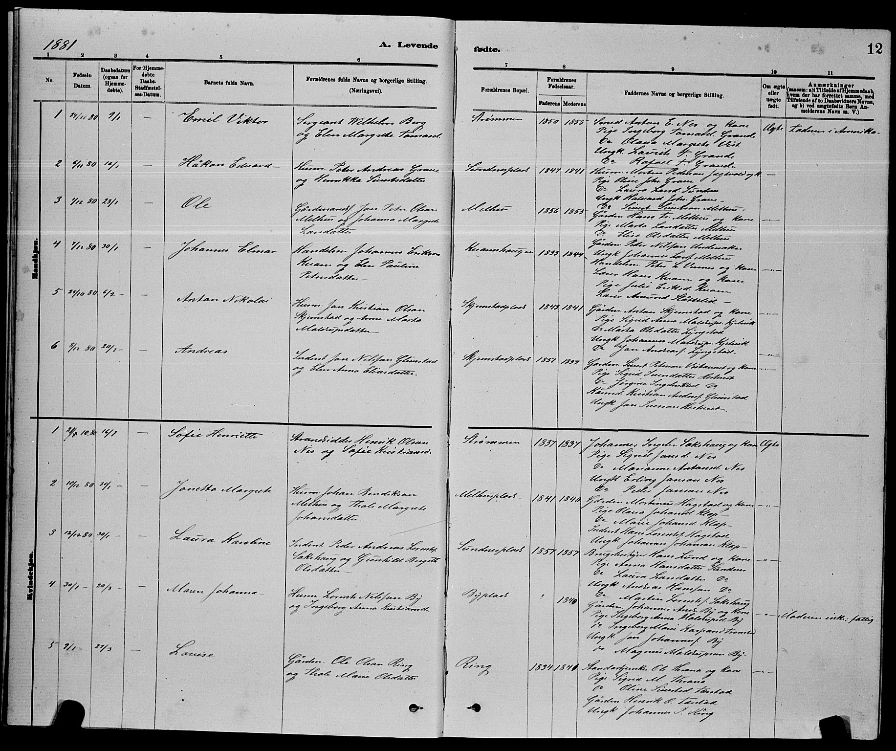 Ministerialprotokoller, klokkerbøker og fødselsregistre - Nord-Trøndelag, AV/SAT-A-1458/730/L0301: Parish register (copy) no. 730C04, 1880-1897, p. 12