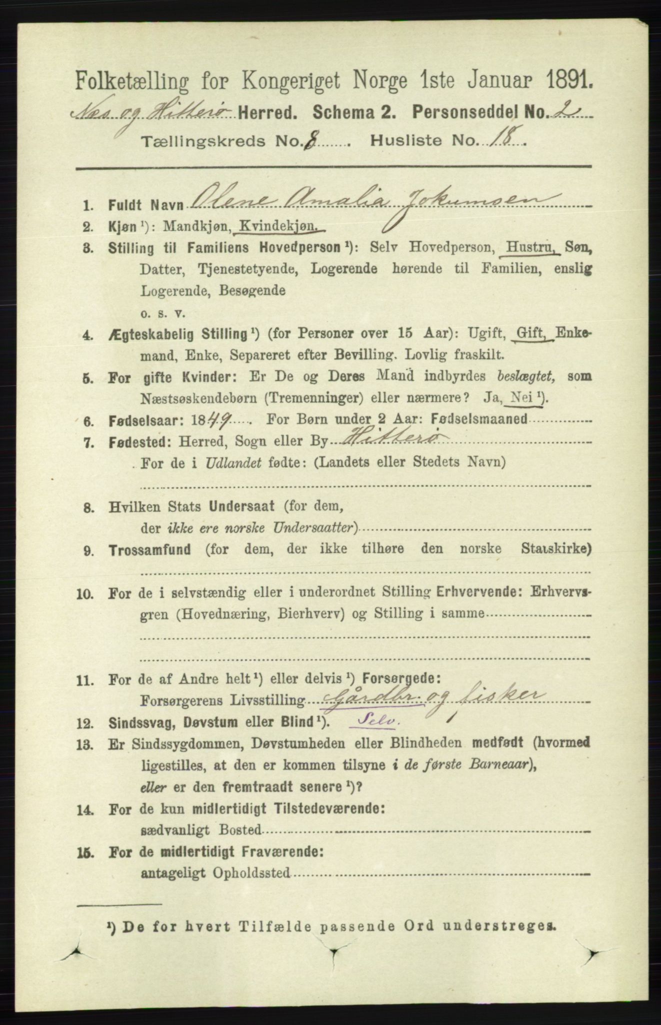 RA, 1891 census for 1043 Hidra og Nes, 1891, p. 3424