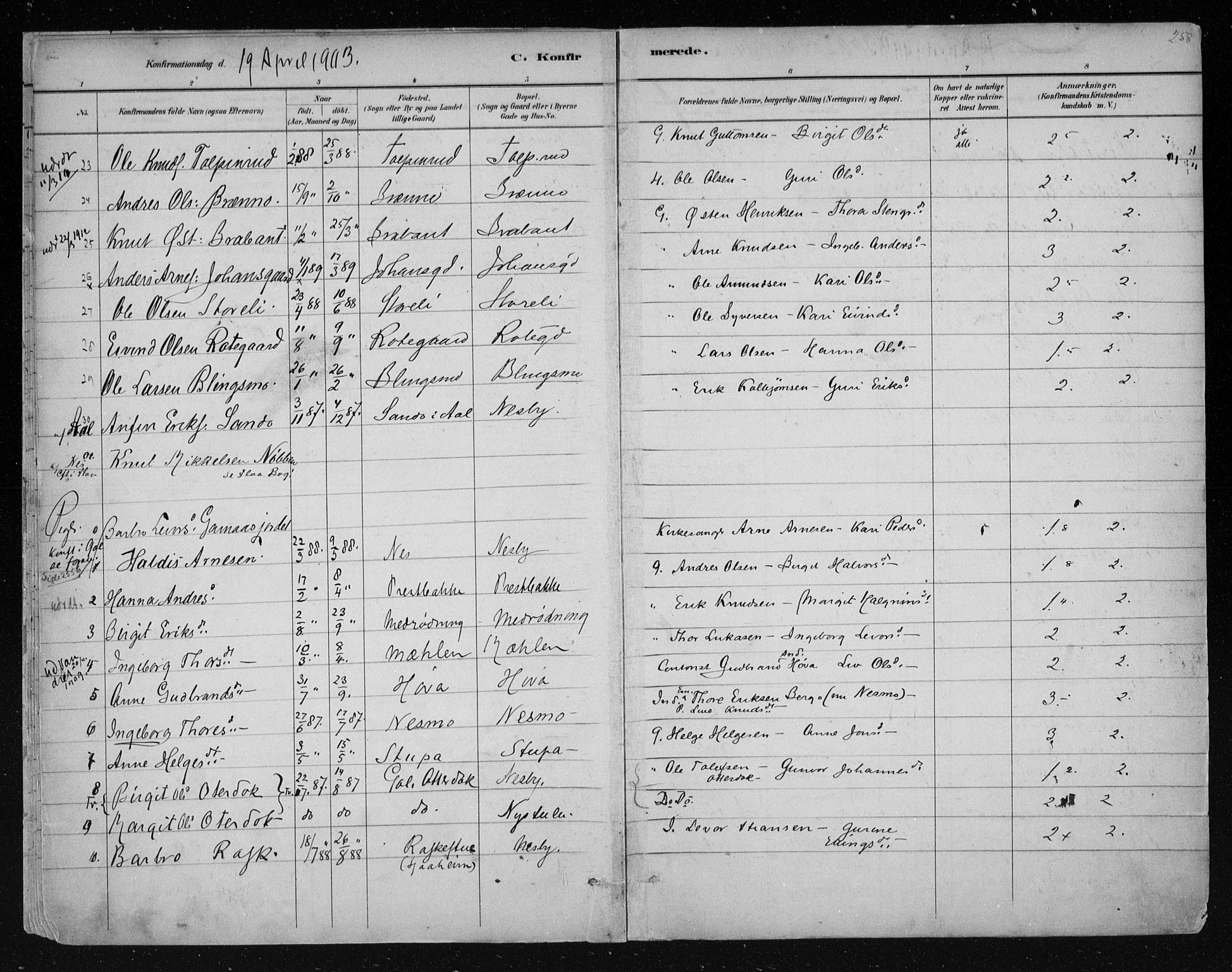 Nes kirkebøker, AV/SAKO-A-236/F/Fa/L0011: Parish register (official) no. 11, 1881-1912, p. 258