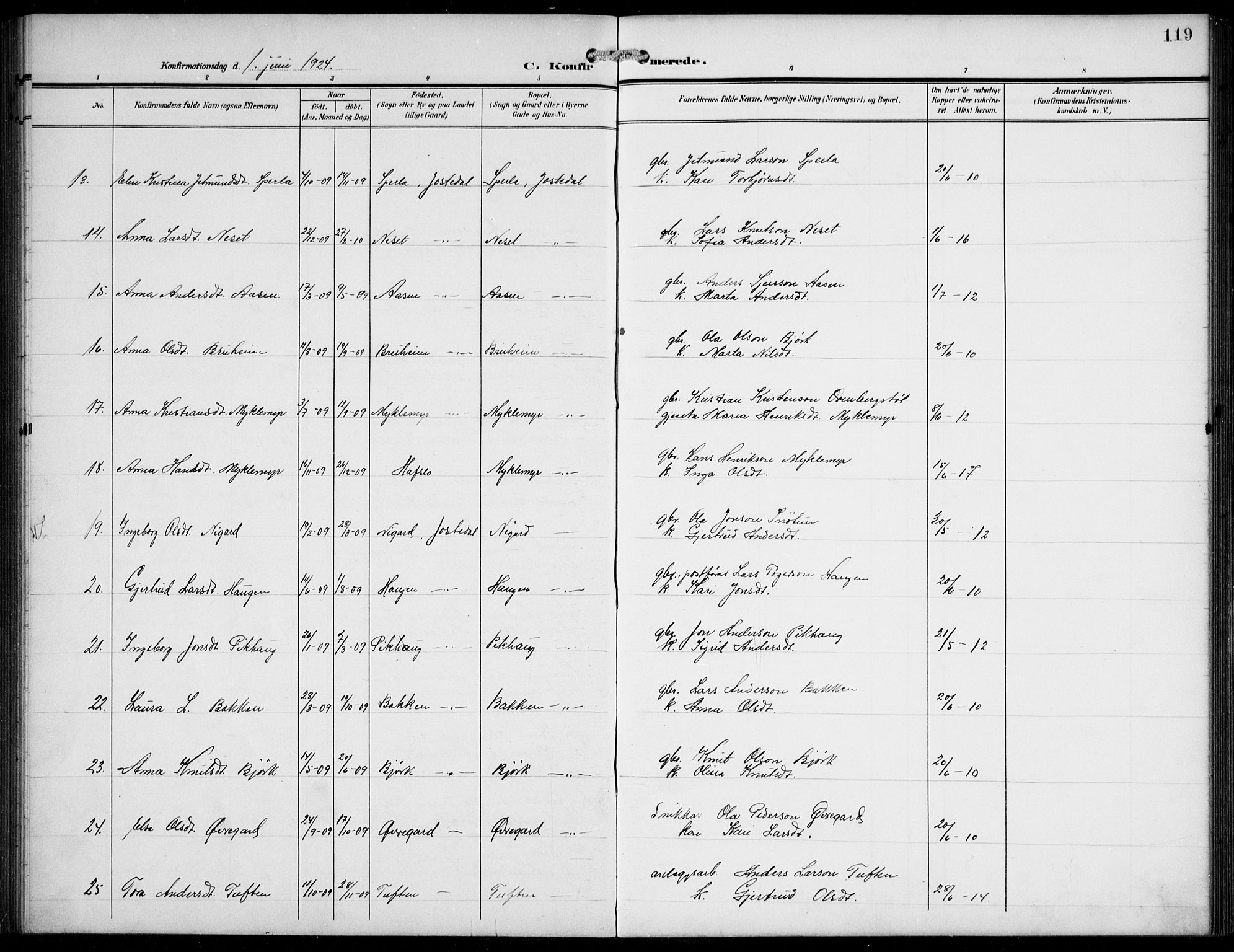 Jostedal sokneprestembete, AV/SAB-A-80601/H/Hab/Haba/L0002: Parish register (copy) no. A 2, 1907-1931, p. 119