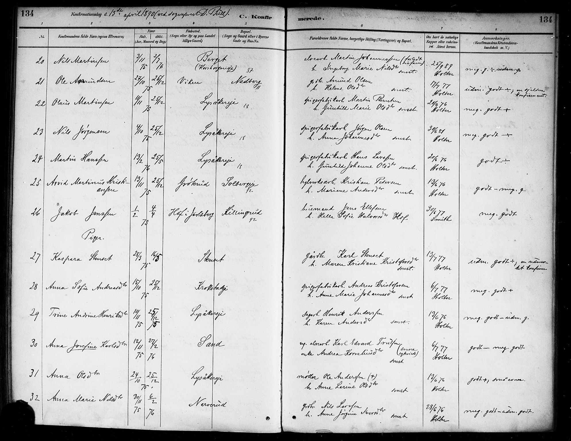 Nedre Eiker kirkebøker, SAKO/A-612/F/Fa/L0003: Parish register (official) no. 3, 1885-1892, p. 134