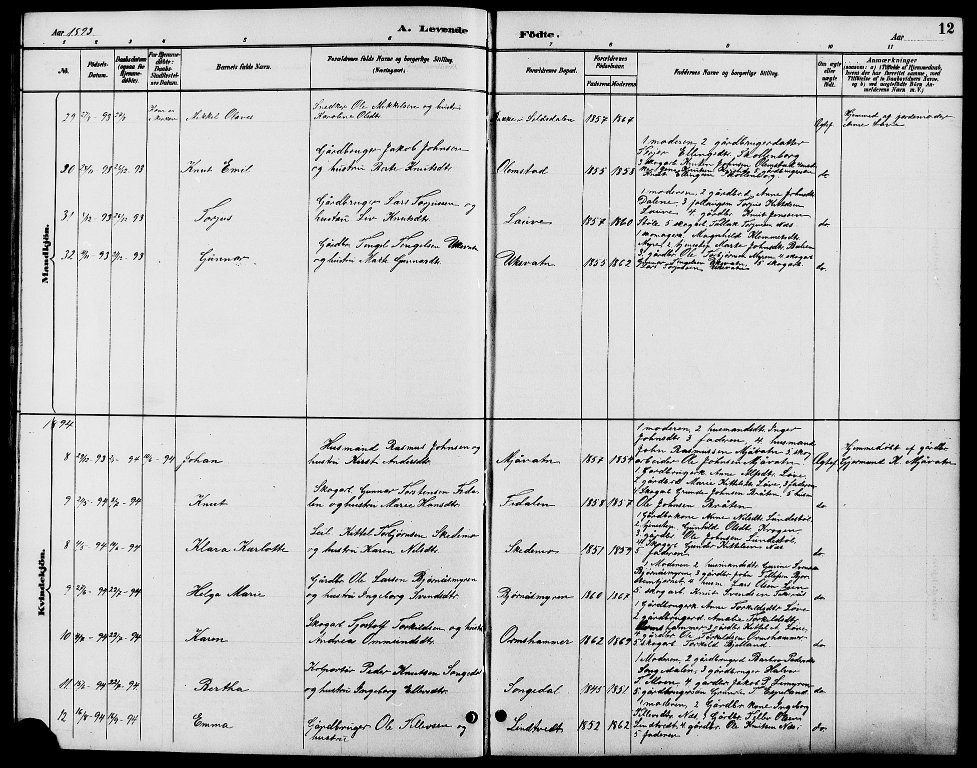 Gjerstad sokneprestkontor, AV/SAK-1111-0014/F/Fb/Fbb/L0004: Parish register (copy) no. B 4, 1890-1910, p. 12