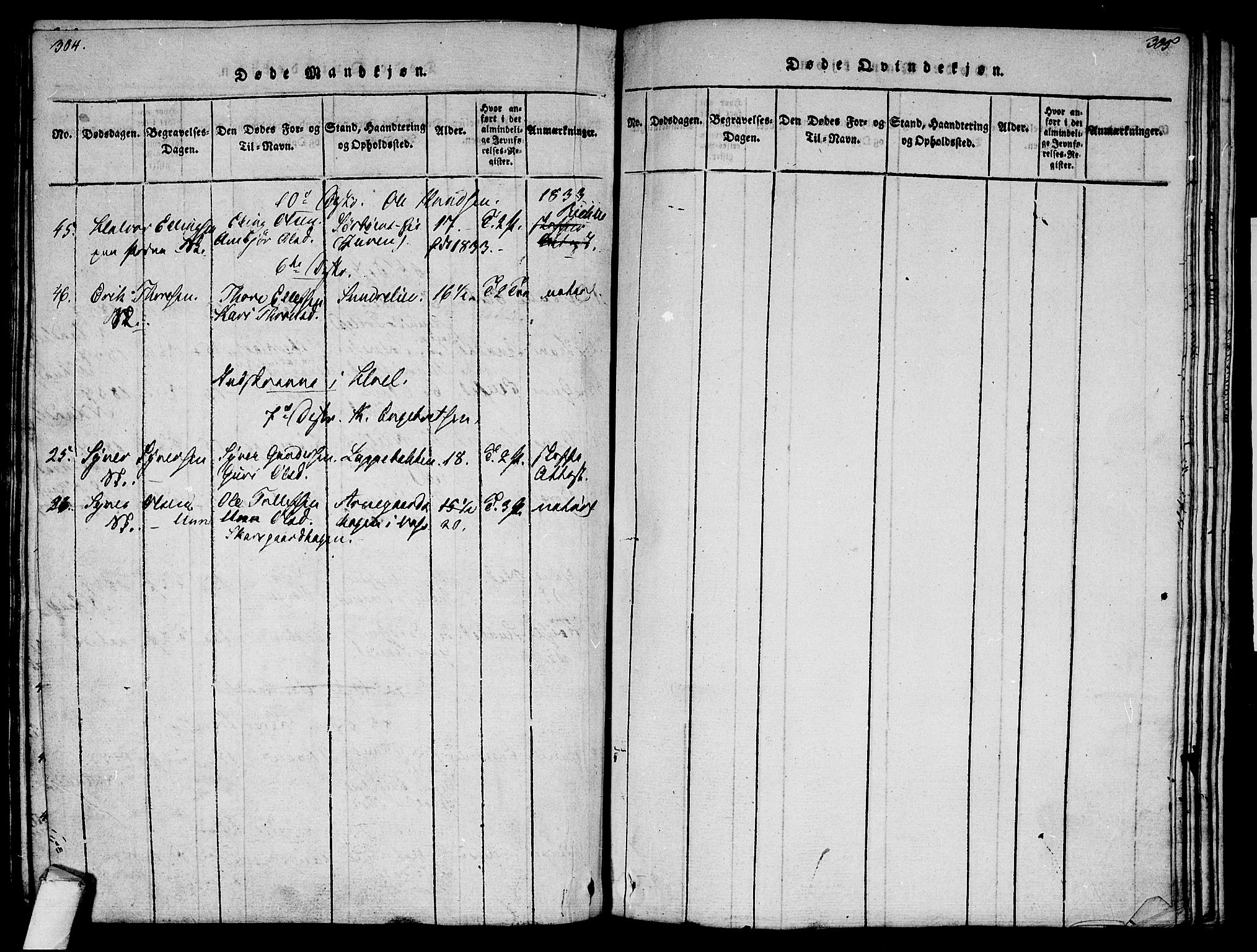 Ål kirkebøker, AV/SAKO-A-249/F/Fa/L0004: Parish register (official) no. I 4, 1815-1825, p. 304-305