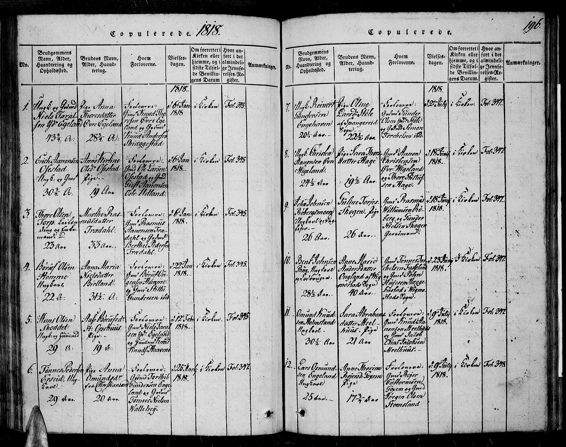 Sør-Audnedal sokneprestkontor, AV/SAK-1111-0039/F/Fa/Fab/L0005: Parish register (official) no. A 5, 1816-1830, p. 196