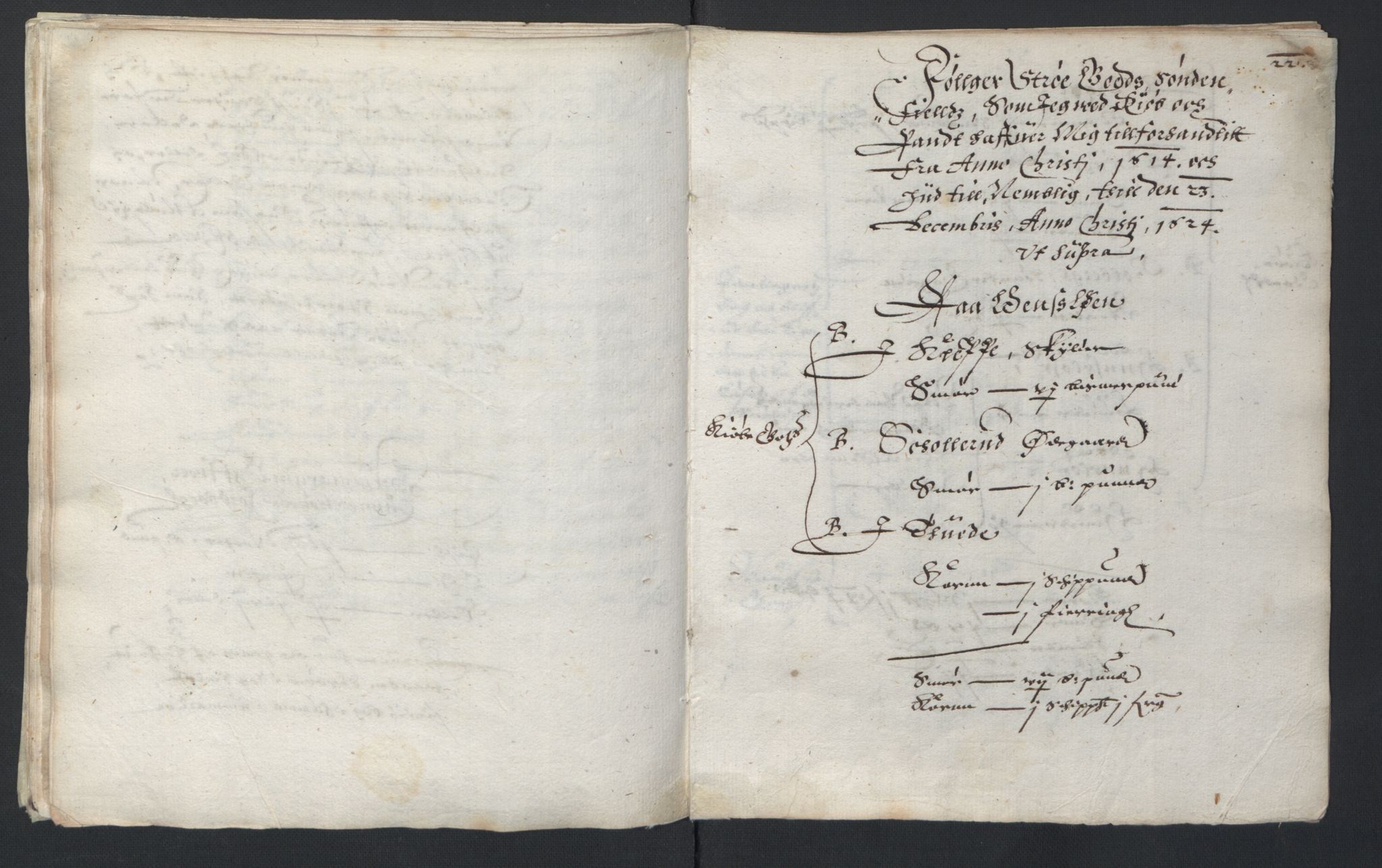 Stattholderembetet 1572-1771, AV/RA-EA-2870/Ek/L0007/0001: Jordebøker til utlikning av rosstjeneste 1624-1626: / Adelsjordebøker, 1624-1625, p. 21