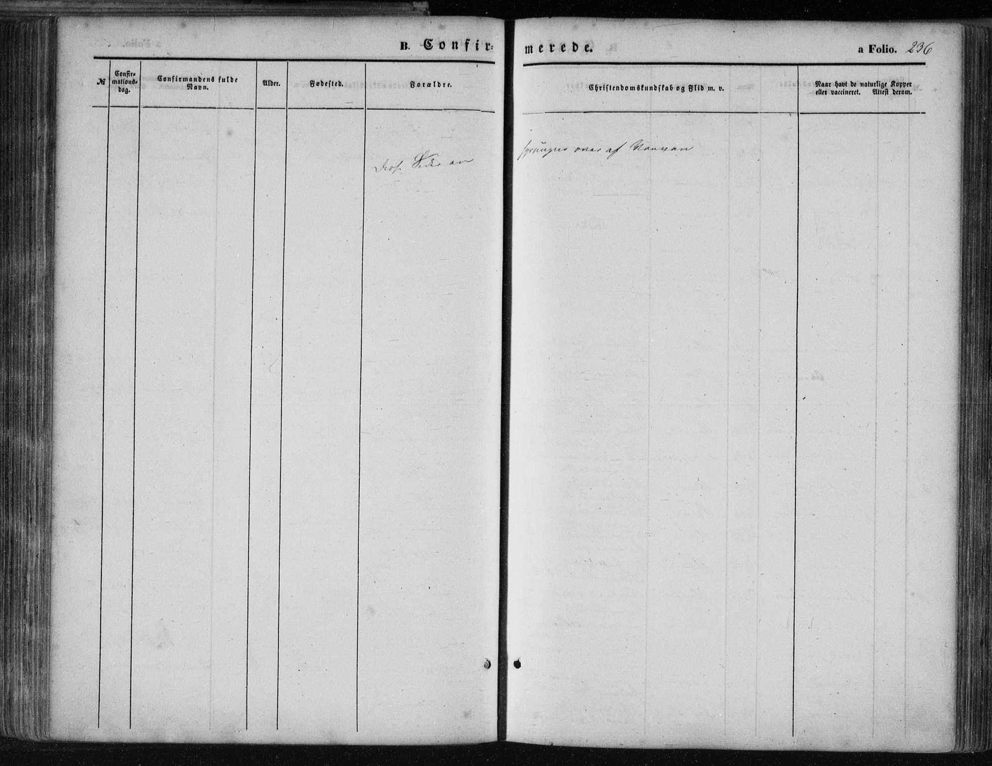 Mandal sokneprestkontor, SAK/1111-0030/F/Fa/Faa/L0014: Parish register (official) no. A 14, 1859-1872, p. 236
