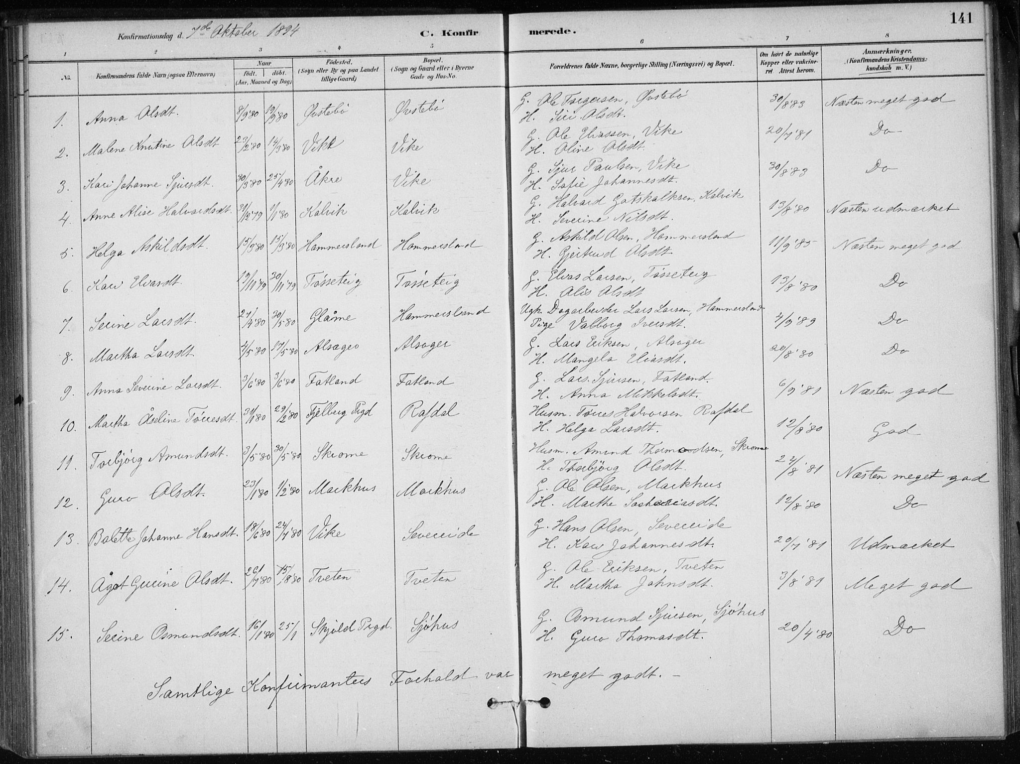 Skånevik sokneprestembete, SAB/A-77801/H/Haa: Parish register (official) no. E  1, 1879-1901, p. 141