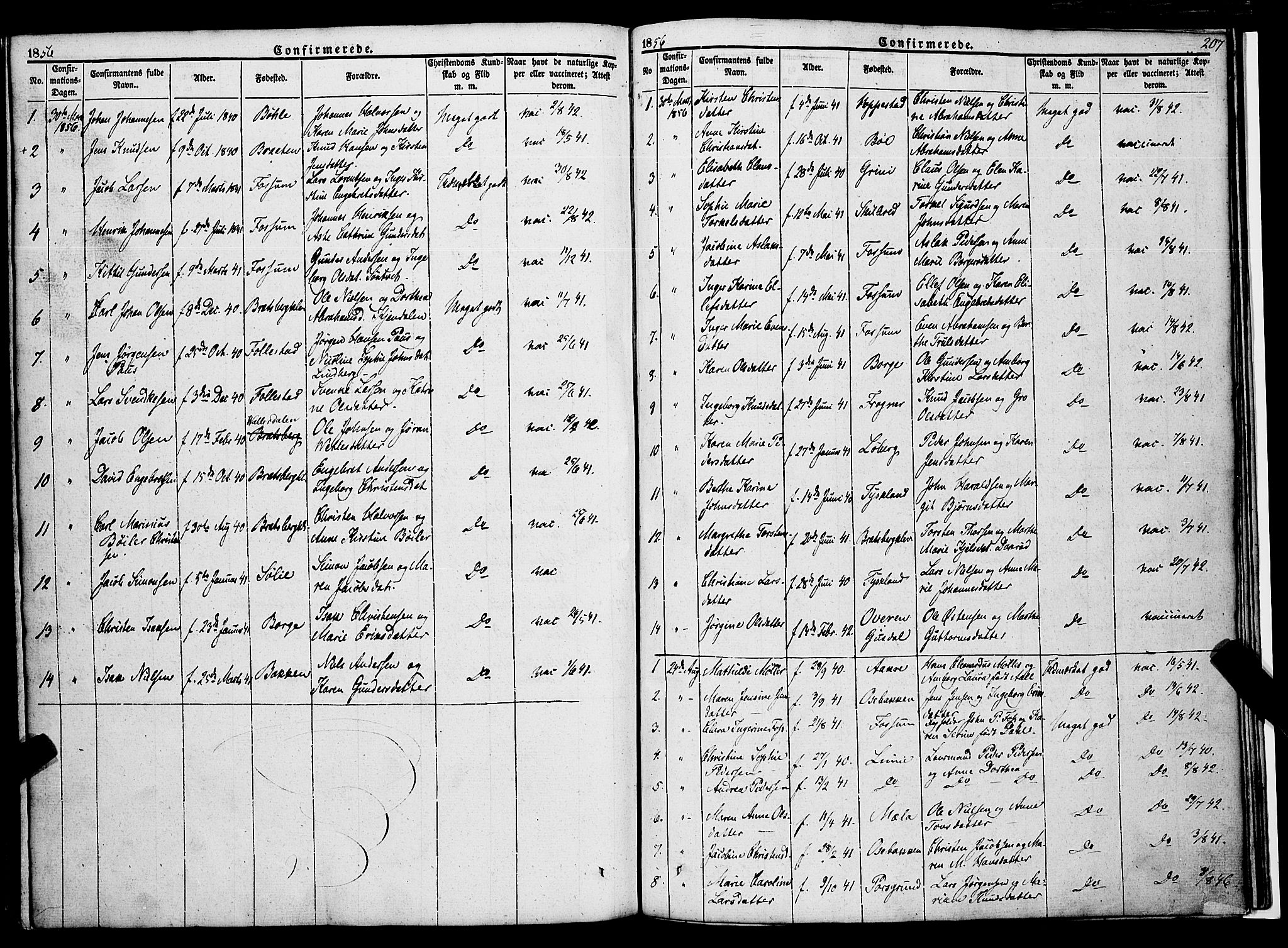 Gjerpen kirkebøker, SAKO/A-265/F/Fa/L0007a: Parish register (official) no. I 7A, 1834-1857, p. 207