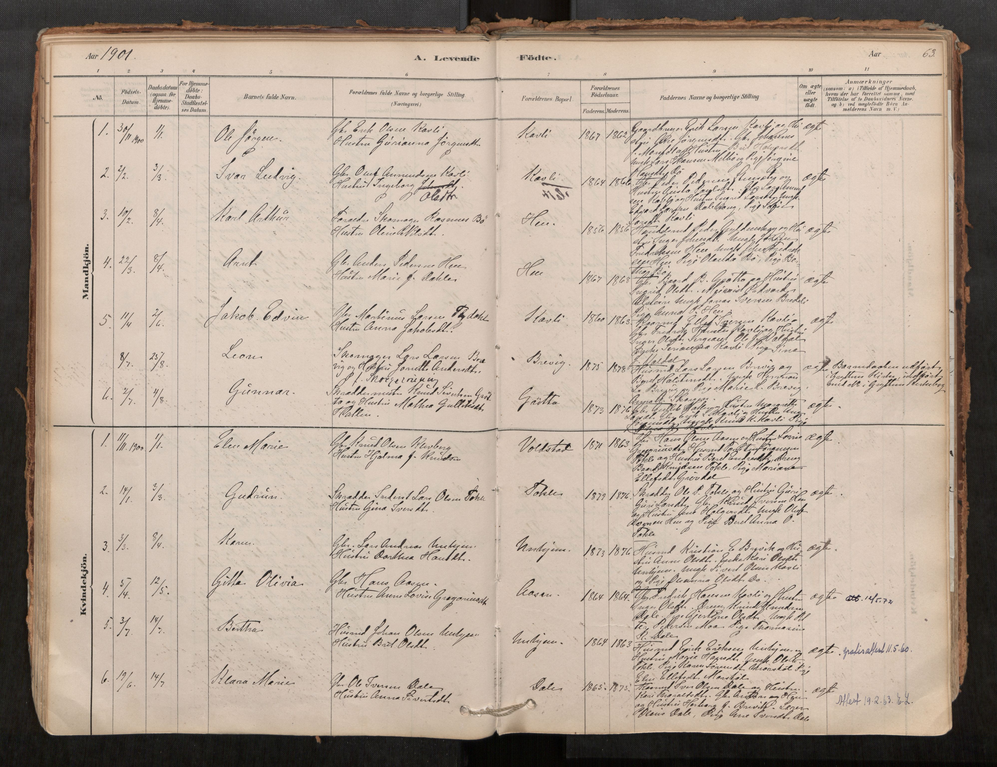 Ministerialprotokoller, klokkerbøker og fødselsregistre - Møre og Romsdal, SAT/A-1454/545/L0594: Parish register (official) no. 545A03, 1878-1920, p. 63