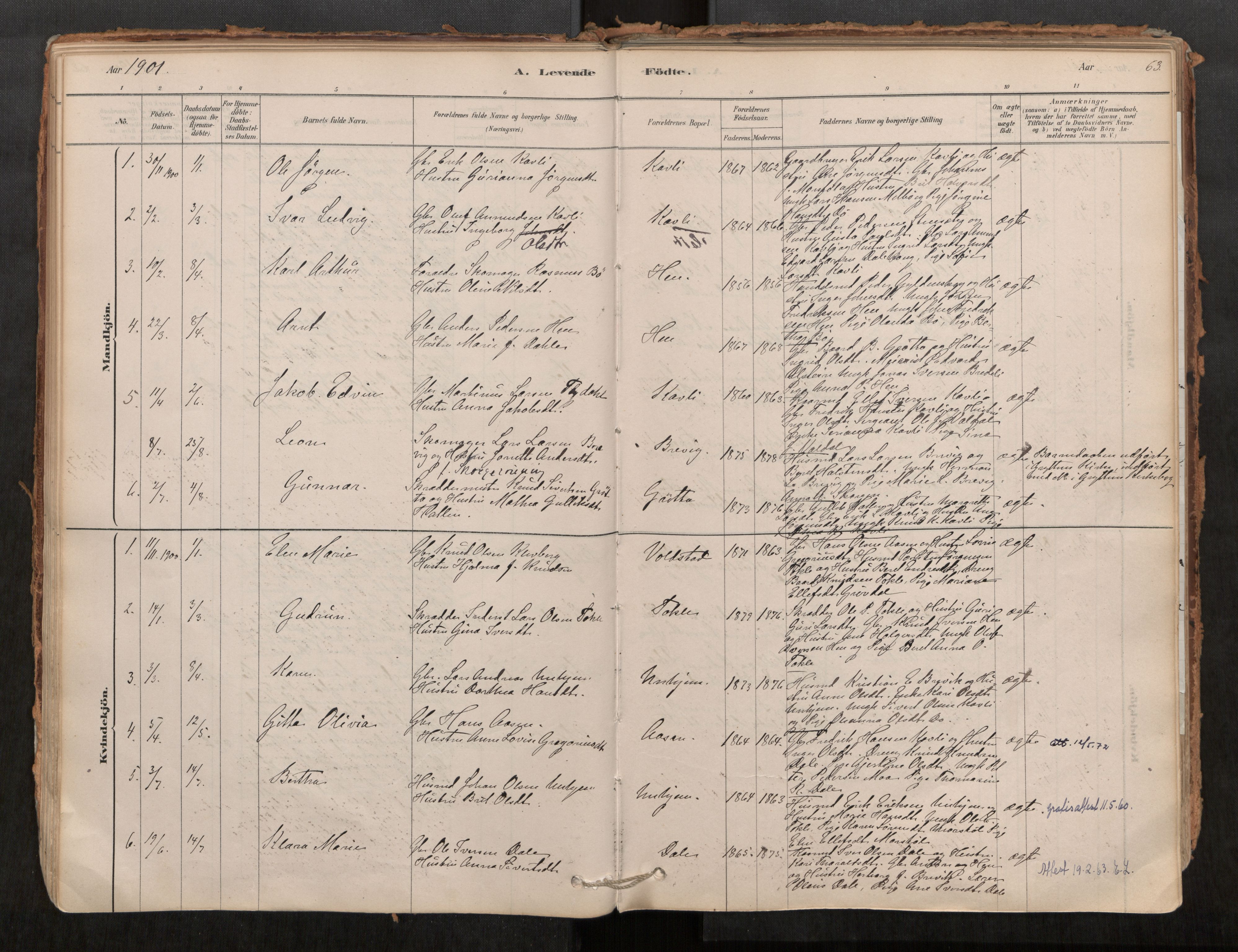 Ministerialprotokoller, klokkerbøker og fødselsregistre - Møre og Romsdal, AV/SAT-A-1454/545/L0594: Parish register (official) no. 545A03, 1878-1920, p. 63