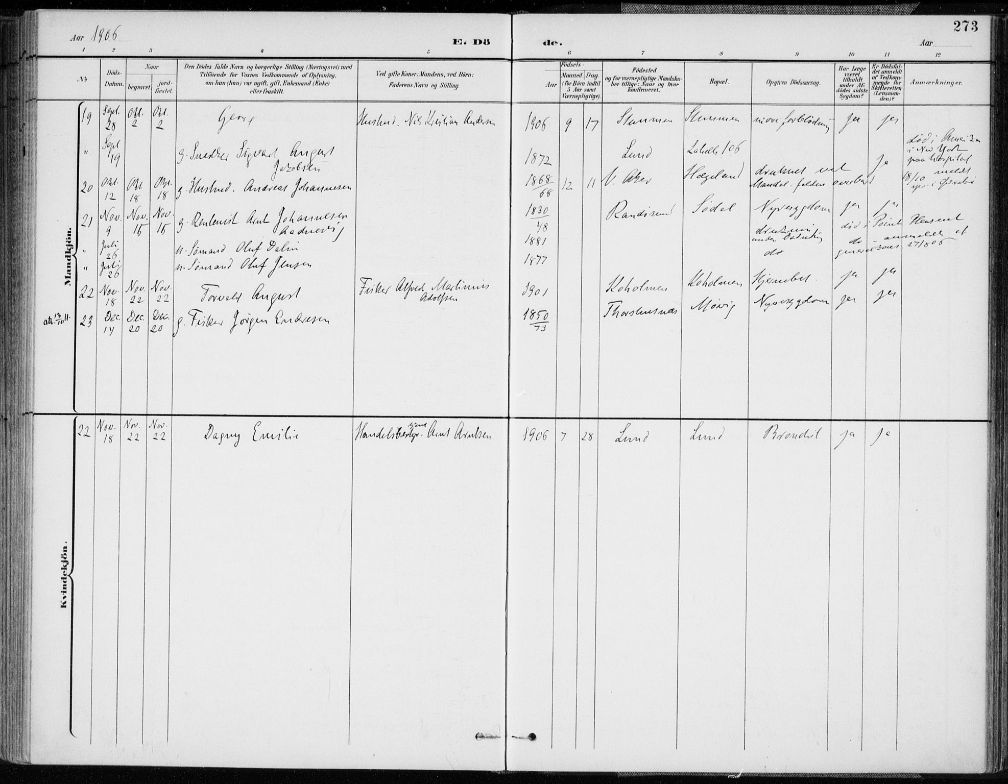 Oddernes sokneprestkontor, AV/SAK-1111-0033/F/Fa/Faa/L0010: Parish register (official) no. A 10, 1897-1911, p. 273