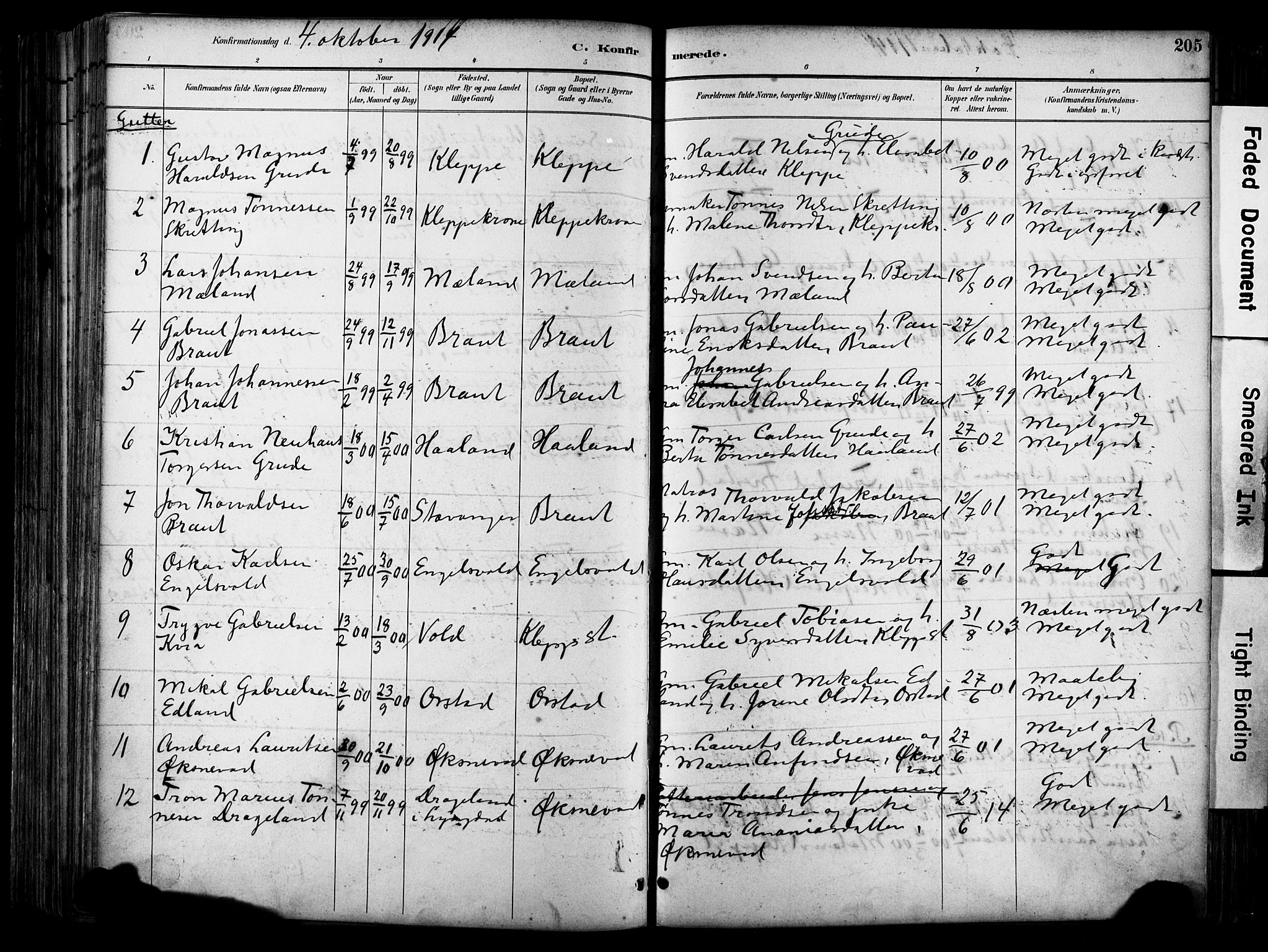 Klepp sokneprestkontor, SAST/A-101803/001/3/30BA/L0009: Parish register (official) no. A 7, 1886-1915, p. 205