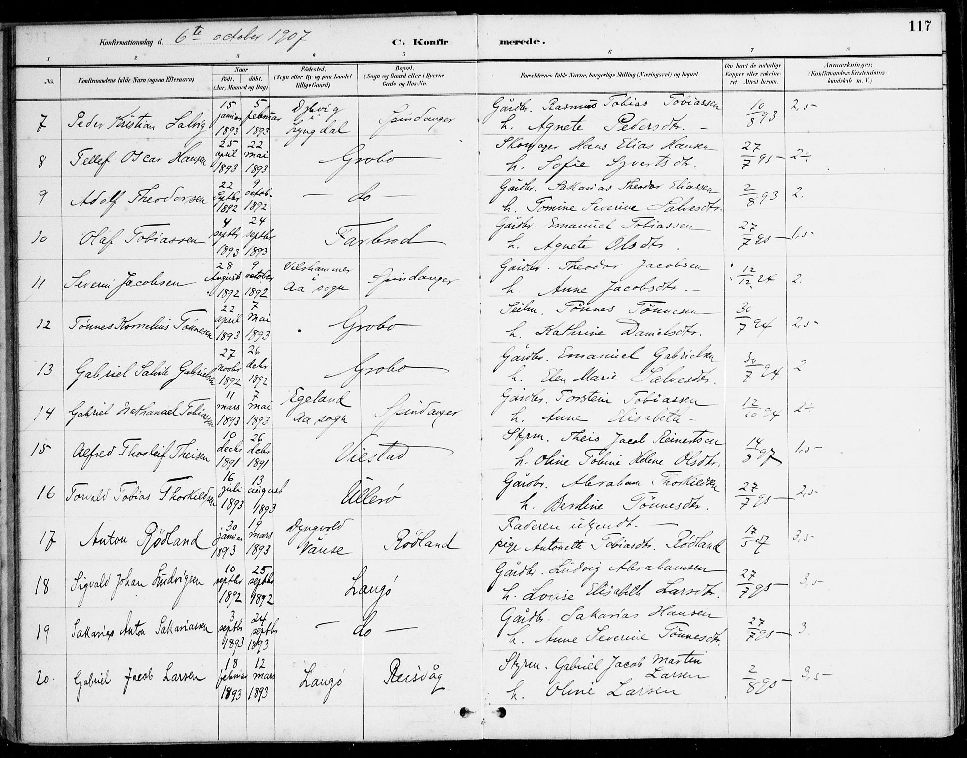 Herad sokneprestkontor, AV/SAK-1111-0018/F/Fa/Fab/L0005: Parish register (official) no. A 5, 1886-1913, p. 117