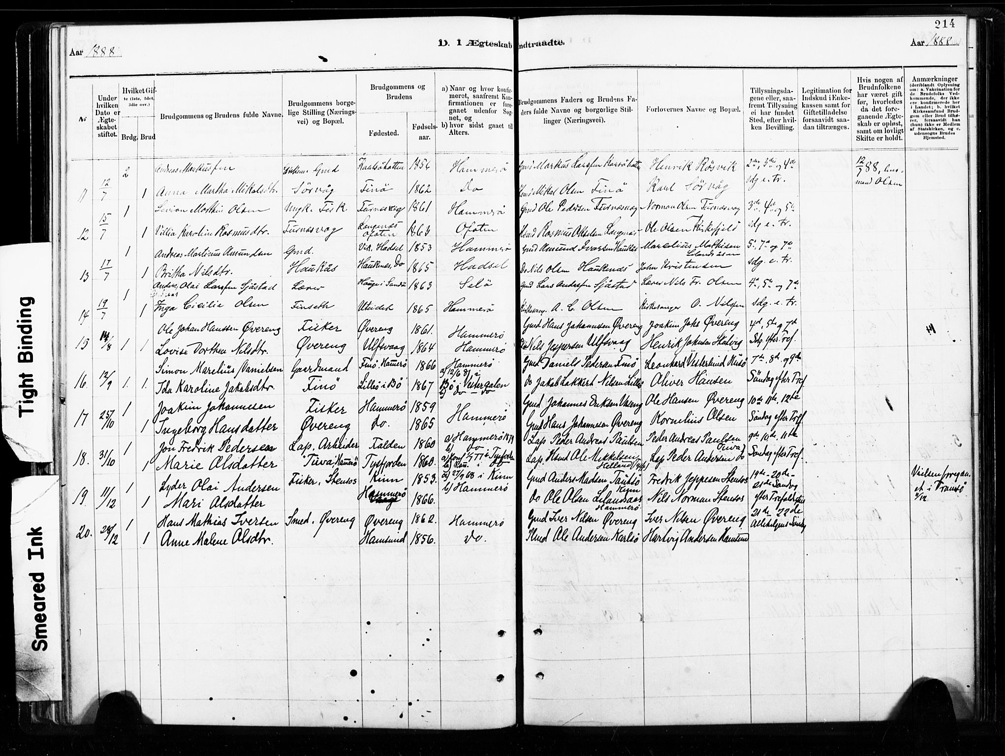 Ministerialprotokoller, klokkerbøker og fødselsregistre - Nordland, AV/SAT-A-1459/859/L0846: Parish register (official) no. 859A06, 1878-1889, p. 214