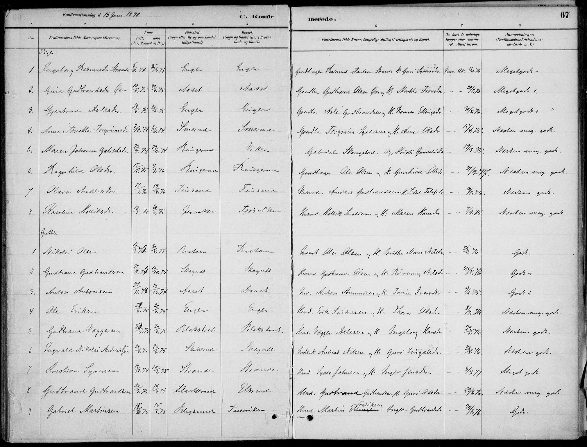 Ådal kirkebøker, AV/SAKO-A-248/F/Fa/L0003: Parish register (official) no. I 3, 1884-1903, p. 67