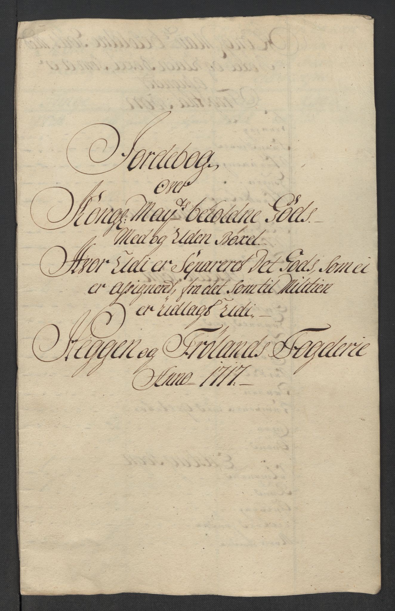 Rentekammeret inntil 1814, Reviderte regnskaper, Fogderegnskap, AV/RA-EA-4092/R07/L0313: Fogderegnskap Rakkestad, Heggen og Frøland, 1717, p. 299