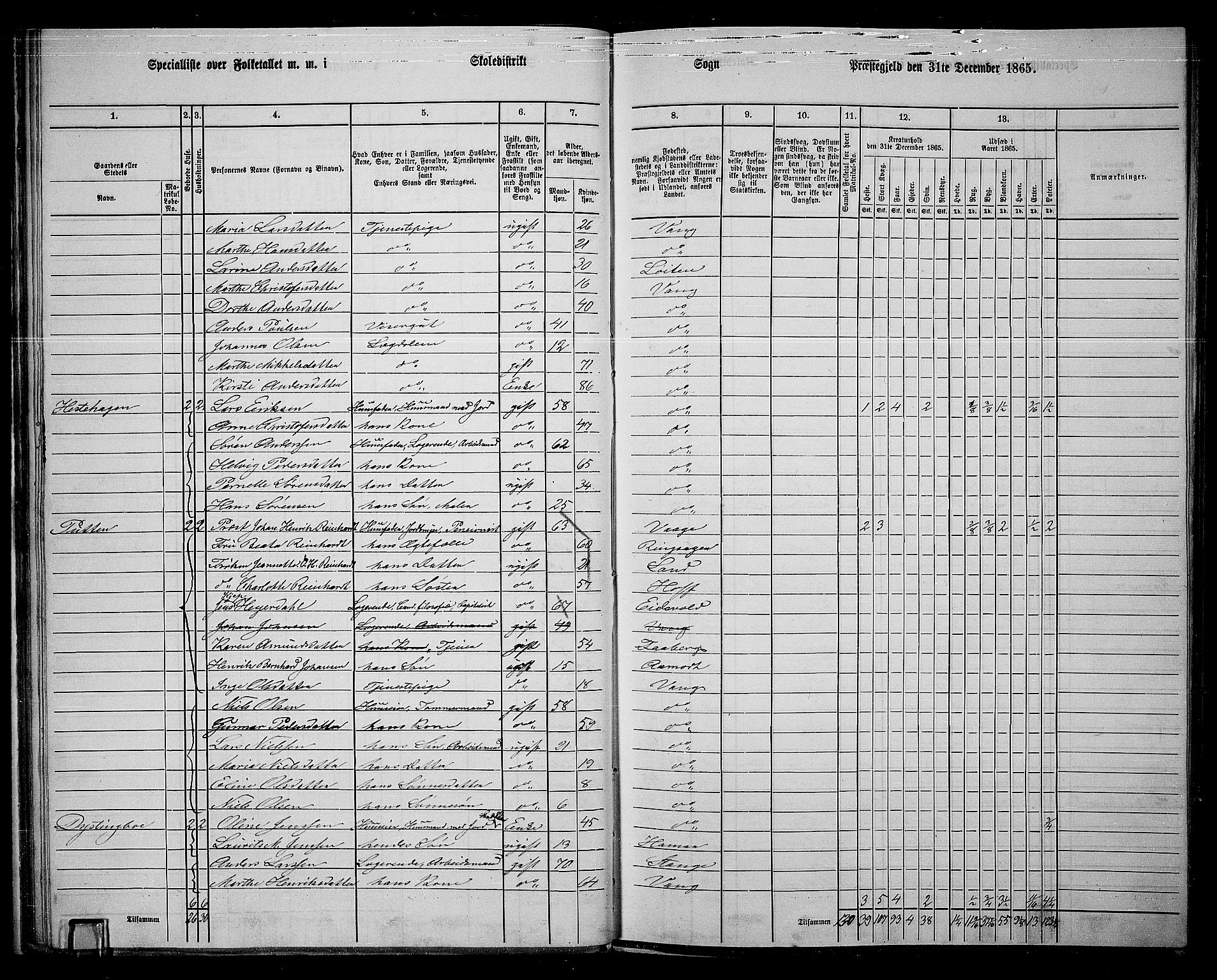 RA, 1865 census for Vang/Vang og Furnes, 1865, p. 182