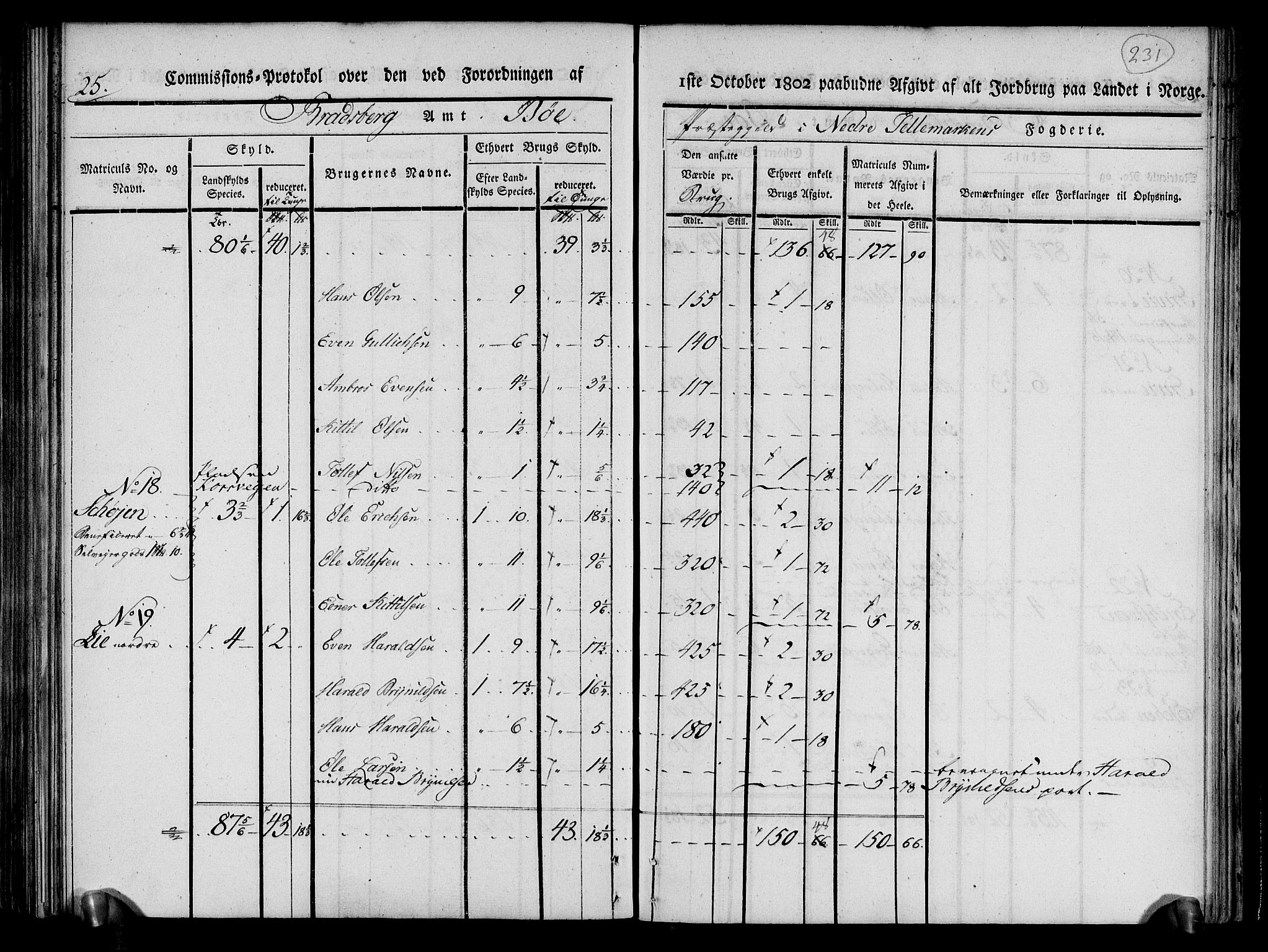 Rentekammeret inntil 1814, Realistisk ordnet avdeling, AV/RA-EA-4070/N/Ne/Nea/L0070: og 0071: Nedre Telemarken og Bamble fogderi. Kommisjonsprotokoll for Gjerpen, Solum, Holla, Bø, Sauherad og Heddal prestegjeld., 1803, p. 119