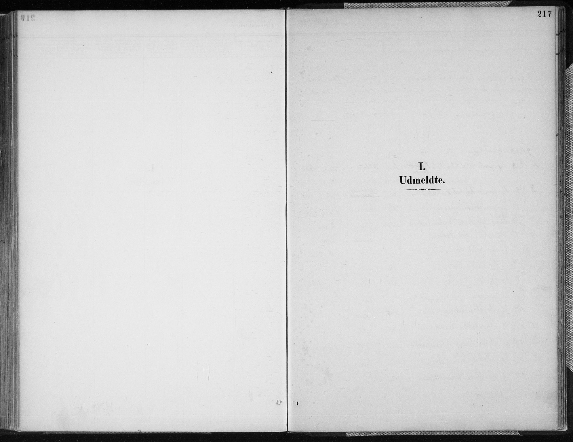Kvinesdal sokneprestkontor, SAK/1111-0026/F/Fa/Fab/L0008: Parish register (official) no. A 8, 1886-1897, p. 217