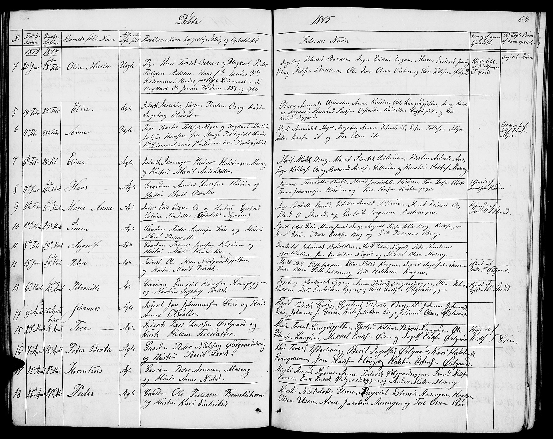 Tolga prestekontor, AV/SAH-PREST-062/L/L0004: Parish register (copy) no. 4, 1845-1887, p. 64