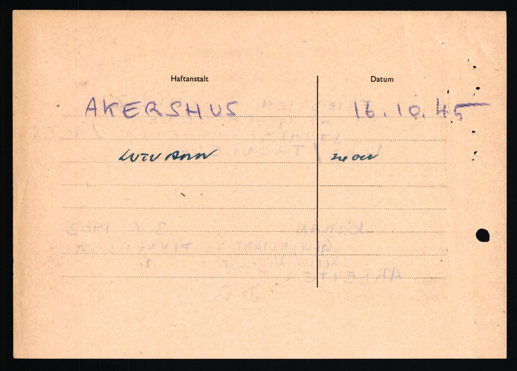 Forsvaret, Forsvarets overkommando II, AV/RA-RAFA-3915/D/Db/L0030: CI Questionaires. Tyske okkupasjonsstyrker i Norge. Tyskere., 1945-1946, p. 380