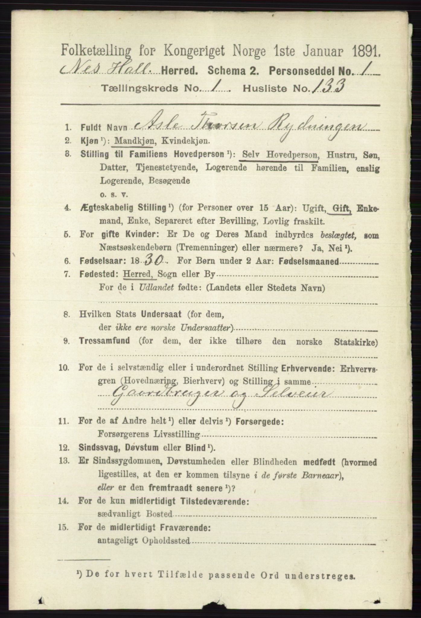 RA, 1891 census for 0616 Nes, 1891, p. 902