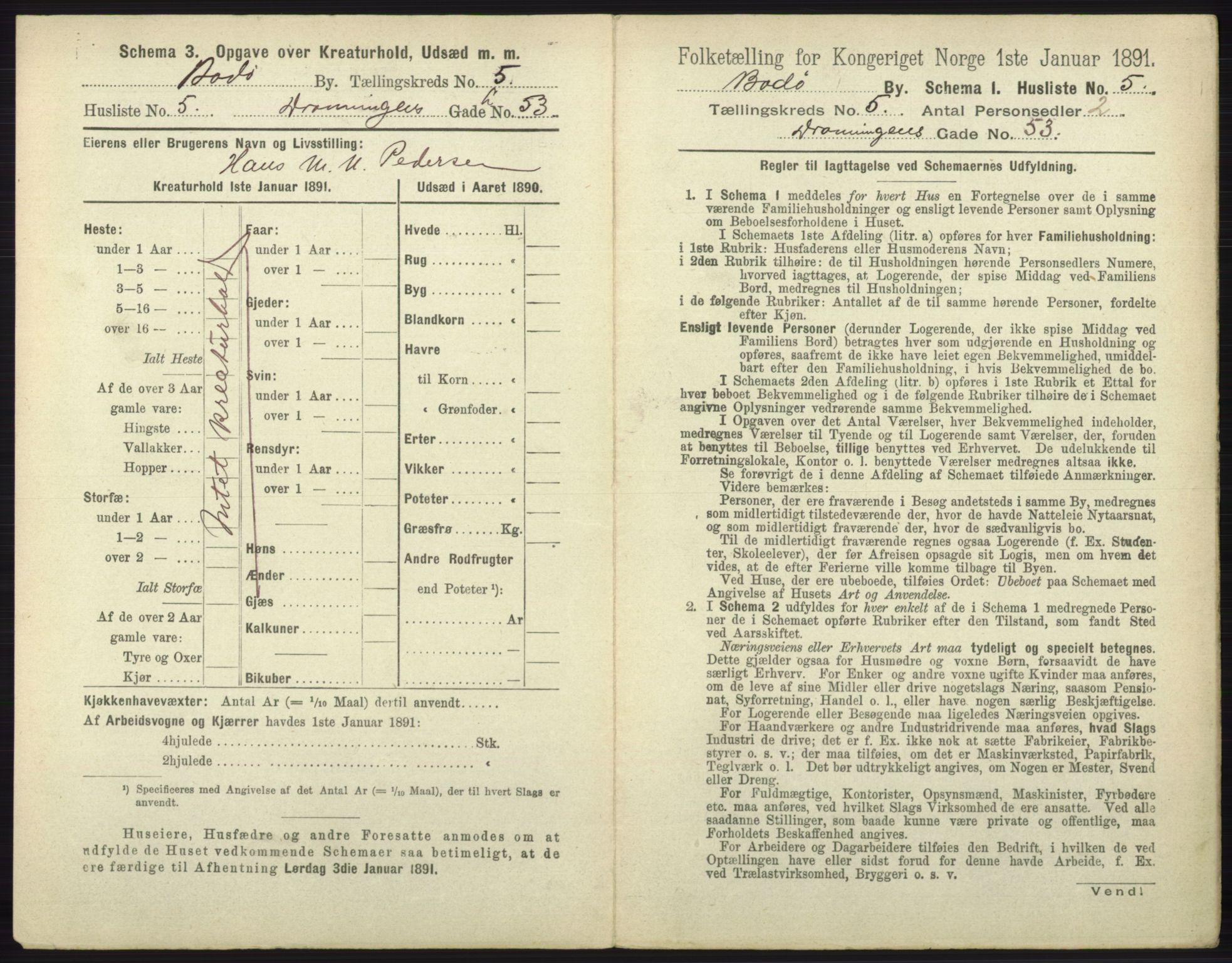 RA, 1891 census for 1804 Bodø, 1891, p. 3811