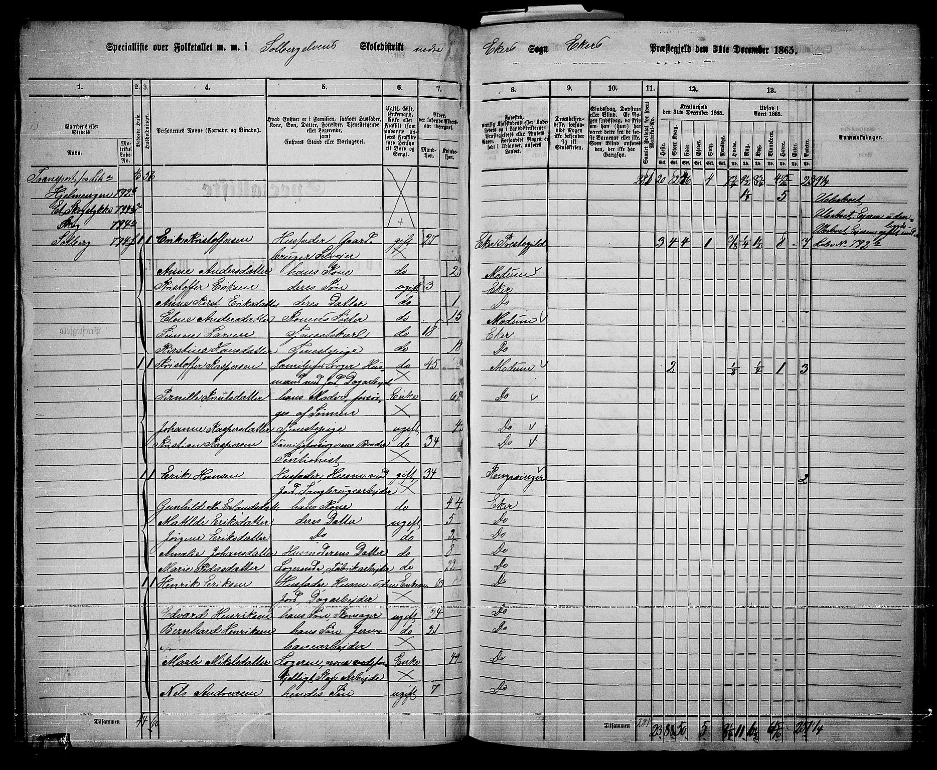 RA, 1865 census for Eiker, 1865, p. 352