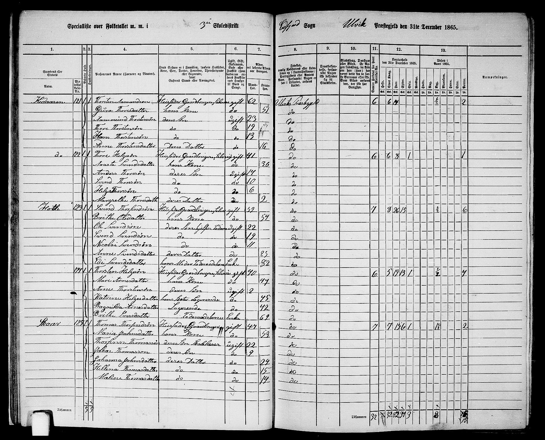 RA, 1865 census for Ulvik, 1865, p. 20