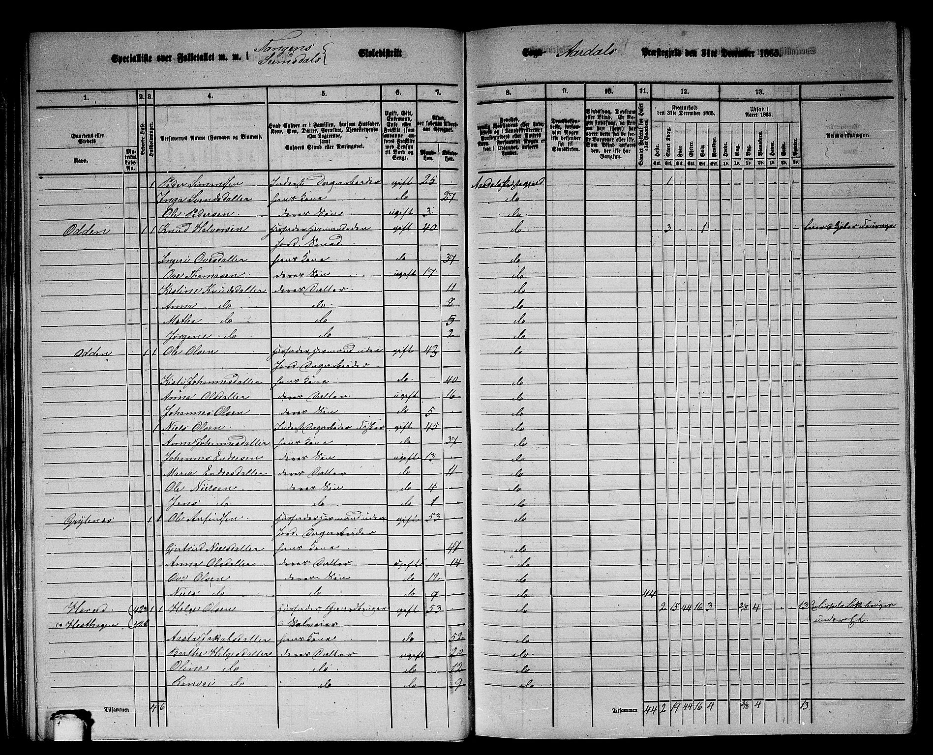 RA, 1865 census for Årdal, 1865, p. 41