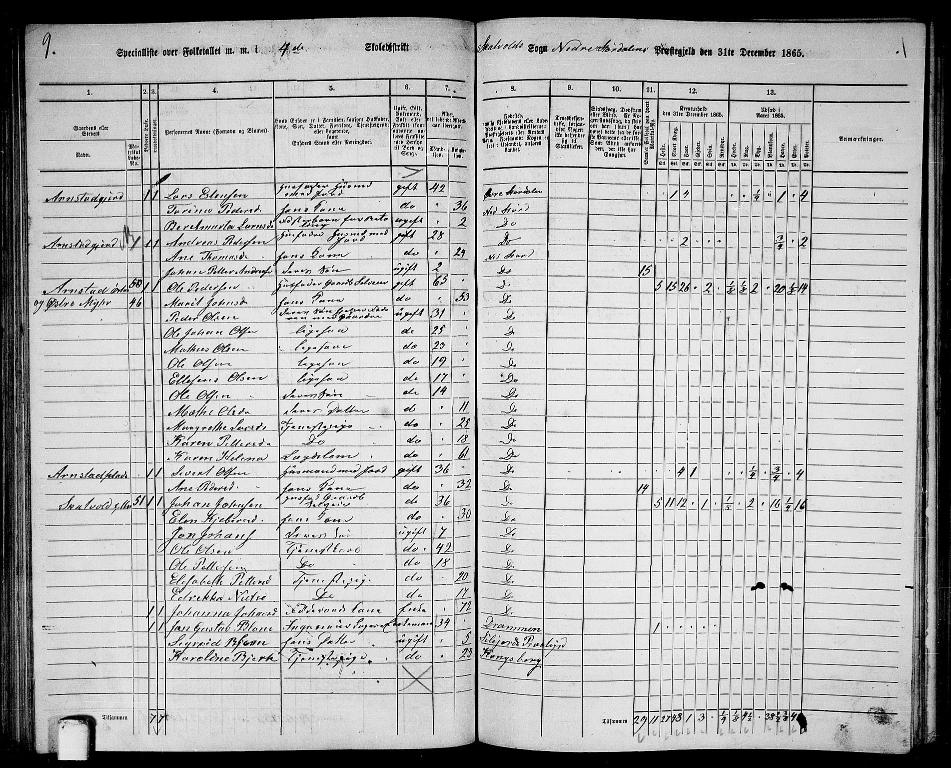 RA, 1865 census for Nedre Stjørdal, 1865, p. 78
