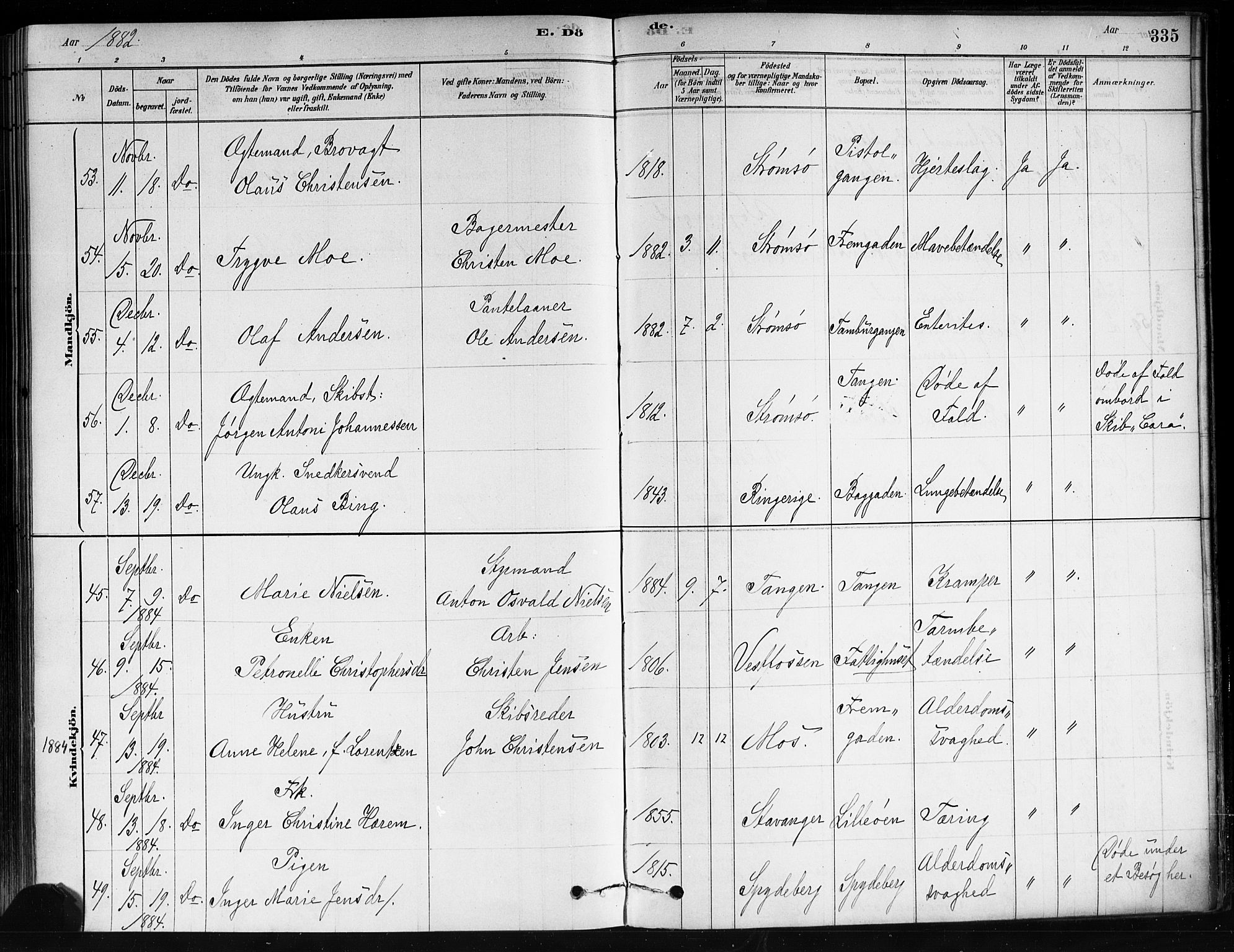 Strømsø kirkebøker, AV/SAKO-A-246/F/Fa/L0021: Parish register (official) no. I 21, 1878-1885, p. 335