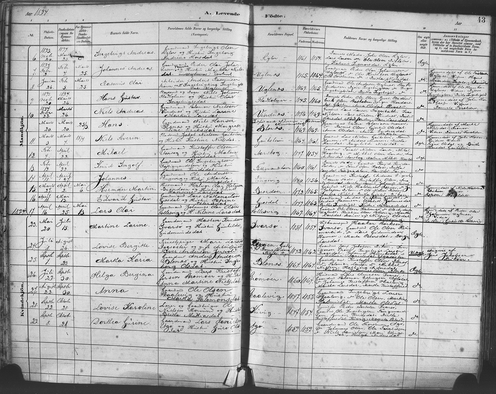 Fitjar sokneprestembete, SAB/A-99926: Parish register (official) no. A 2, 1882-1899, p. 43