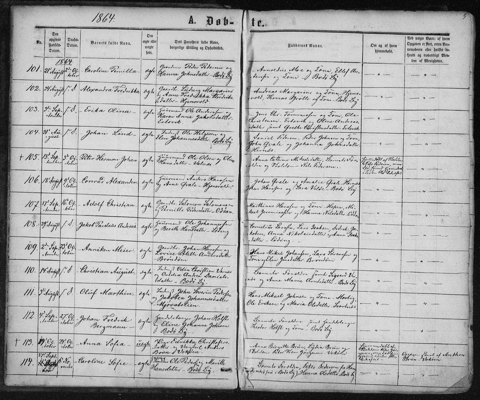 Ministerialprotokoller, klokkerbøker og fødselsregistre - Nordland, SAT/A-1459/801/L0008: Parish register (official) no. 801A08, 1864-1875, p. 9