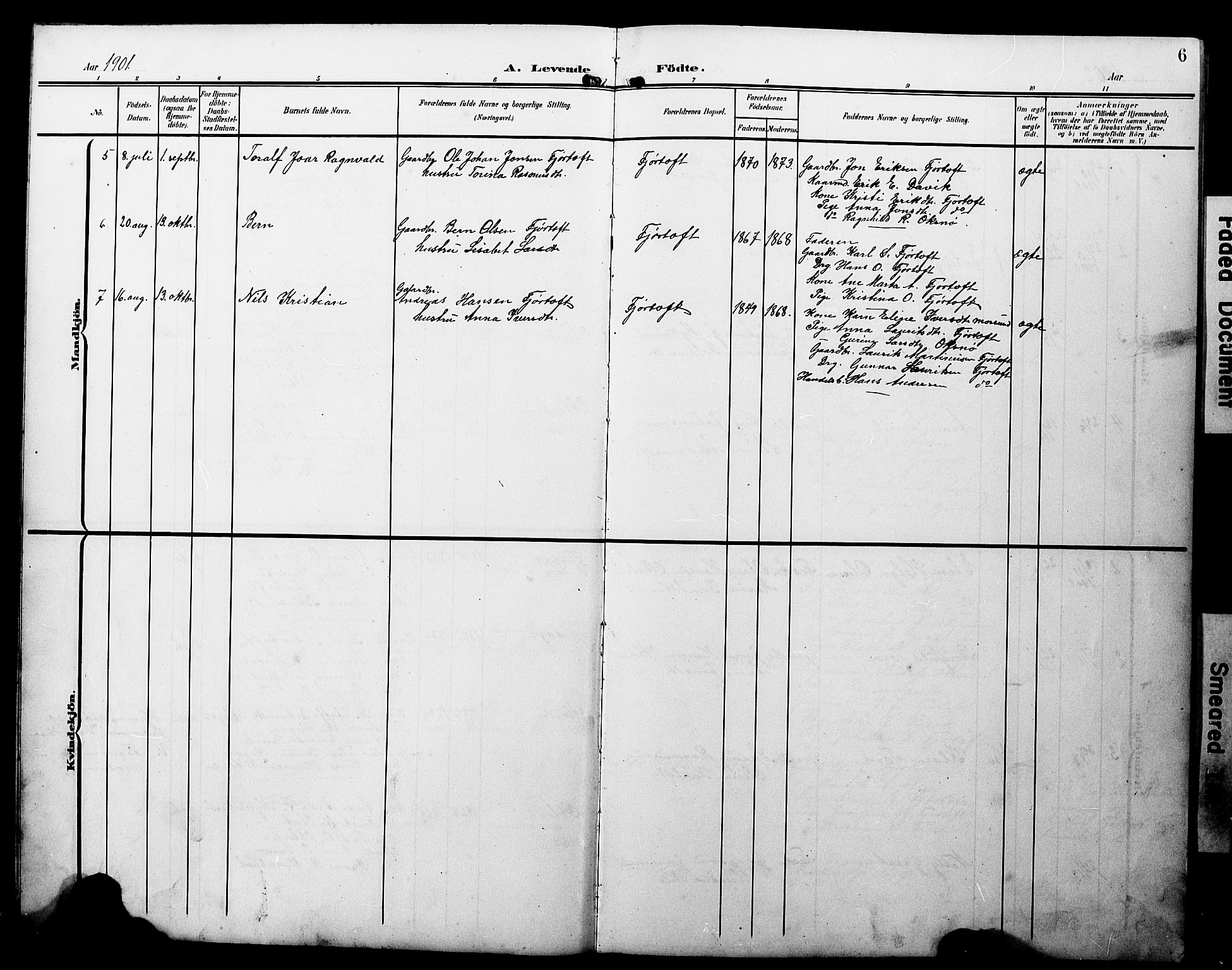 Ministerialprotokoller, klokkerbøker og fødselsregistre - Møre og Romsdal, AV/SAT-A-1454/538/L0524: Parish register (copy) no. 538C02, 1901-1931, p. 6