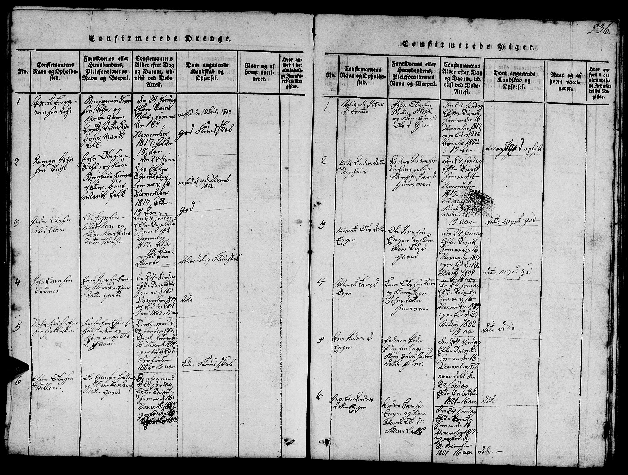 Ministerialprotokoller, klokkerbøker og fødselsregistre - Sør-Trøndelag, SAT/A-1456/693/L1121: Parish register (copy) no. 693C02, 1816-1869, p. 236
