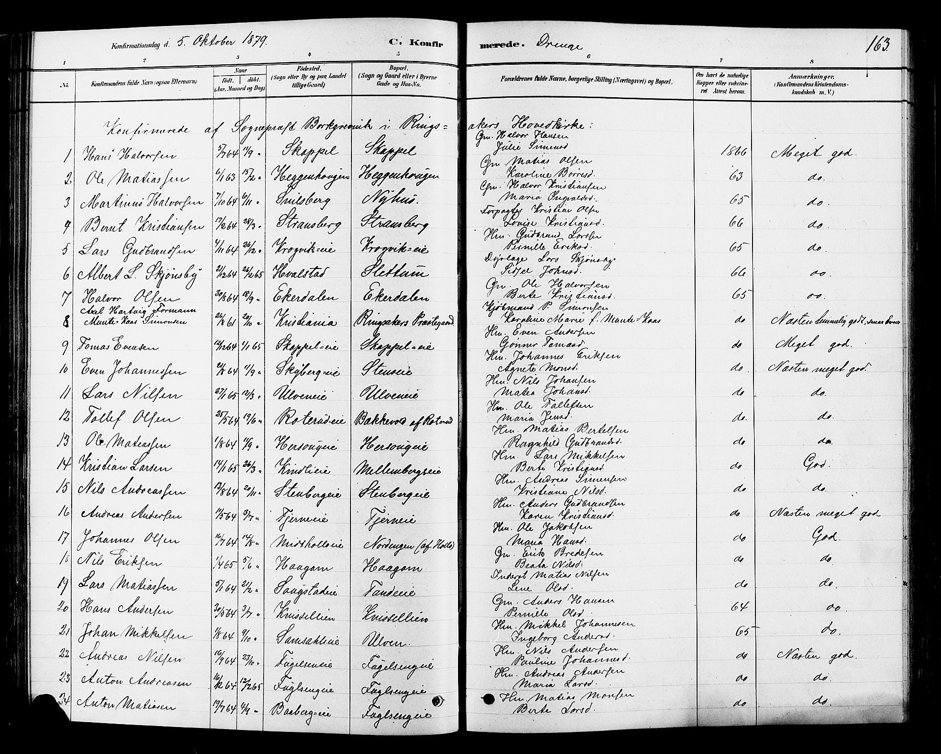 Ringsaker prestekontor, SAH/PREST-014/L/La/L0009: Parish register (copy) no. 9, 1879-1890, p. 163