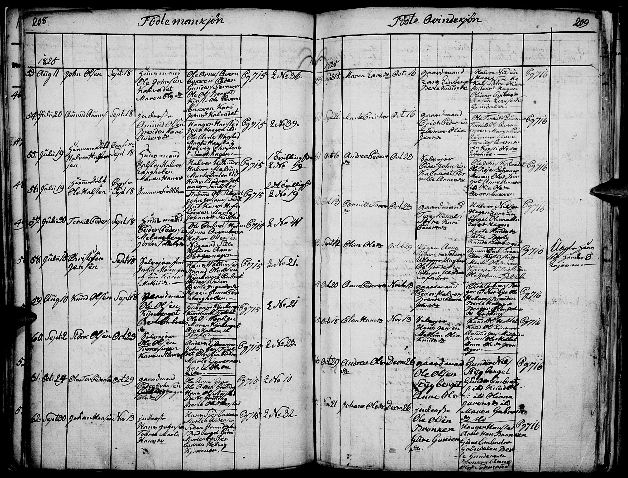 Elverum prestekontor, SAH/PREST-044/H/Ha/Haa/L0007: Parish register (official) no. 7, 1815-1830, p. 208-209