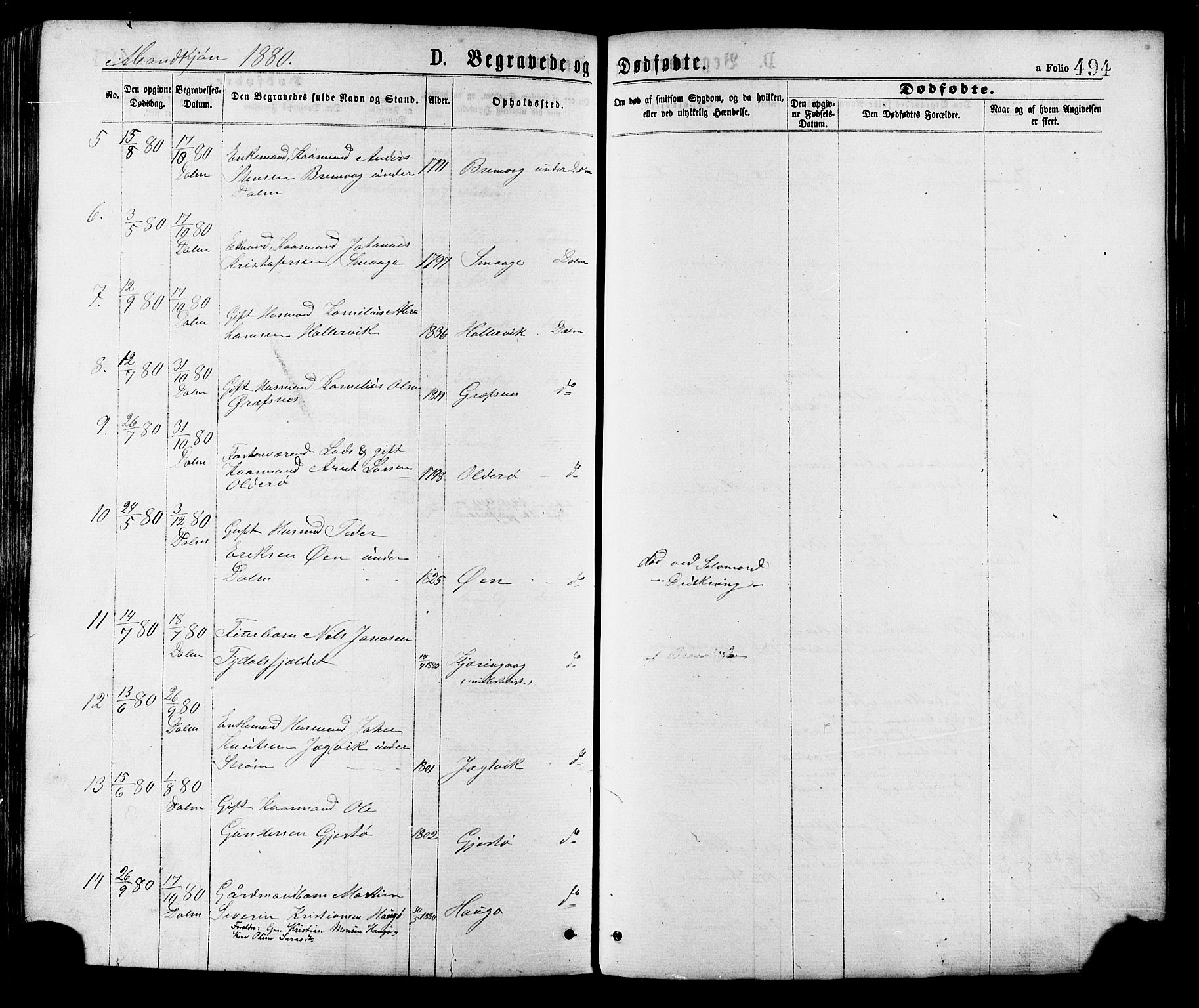 Ministerialprotokoller, klokkerbøker og fødselsregistre - Sør-Trøndelag, SAT/A-1456/634/L0532: Parish register (official) no. 634A08, 1871-1881, p. 494