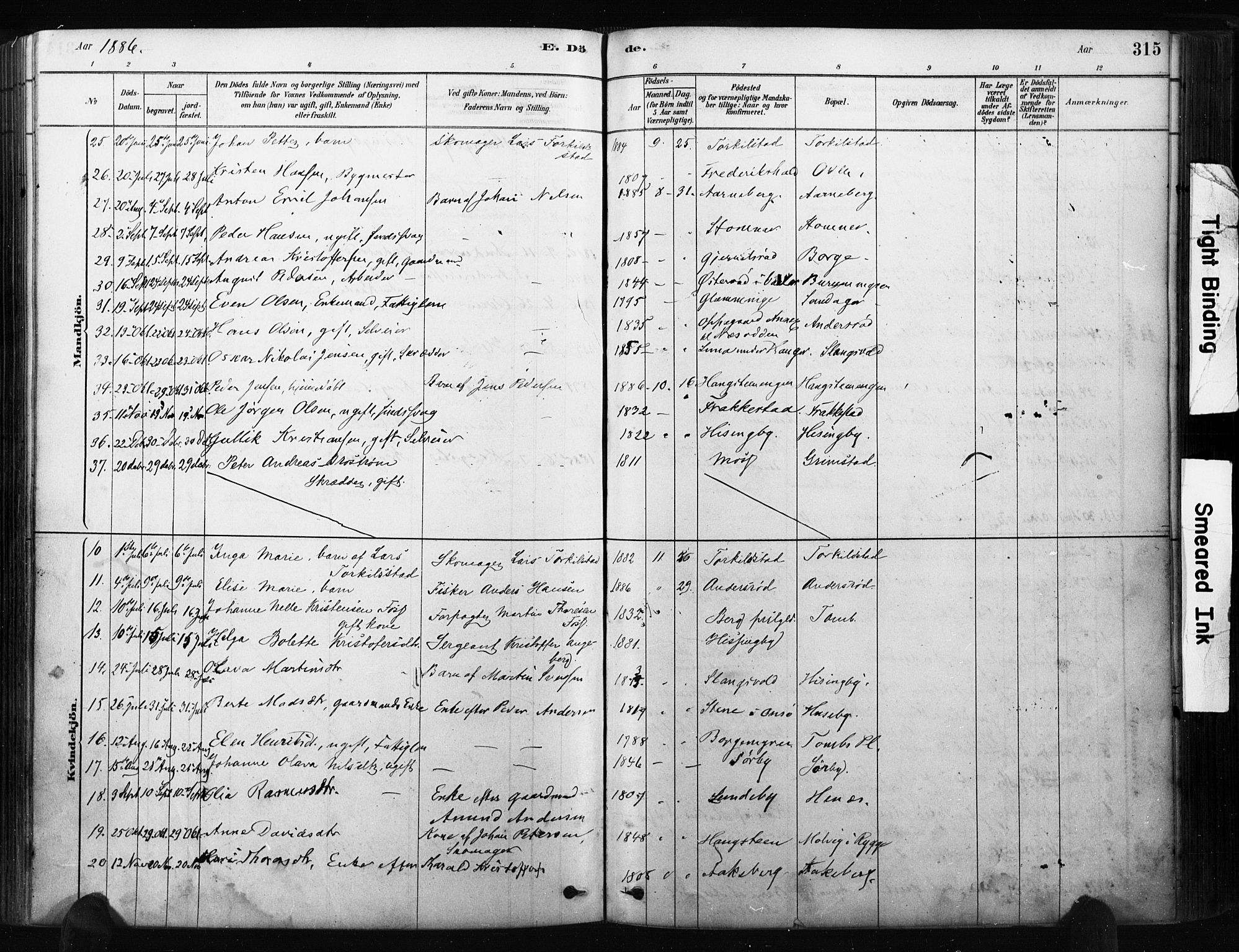 Råde prestekontor kirkebøker, AV/SAO-A-2009/F/Fa/L0007: Parish register (official) no. 7, 1878-1902, p. 315