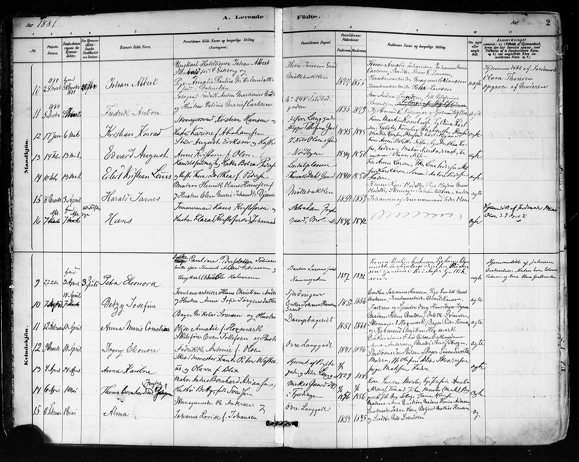 Tønsberg kirkebøker, SAKO/A-330/F/Fa/L0011: Parish register (official) no. I 11, 1881-1890, p. 2