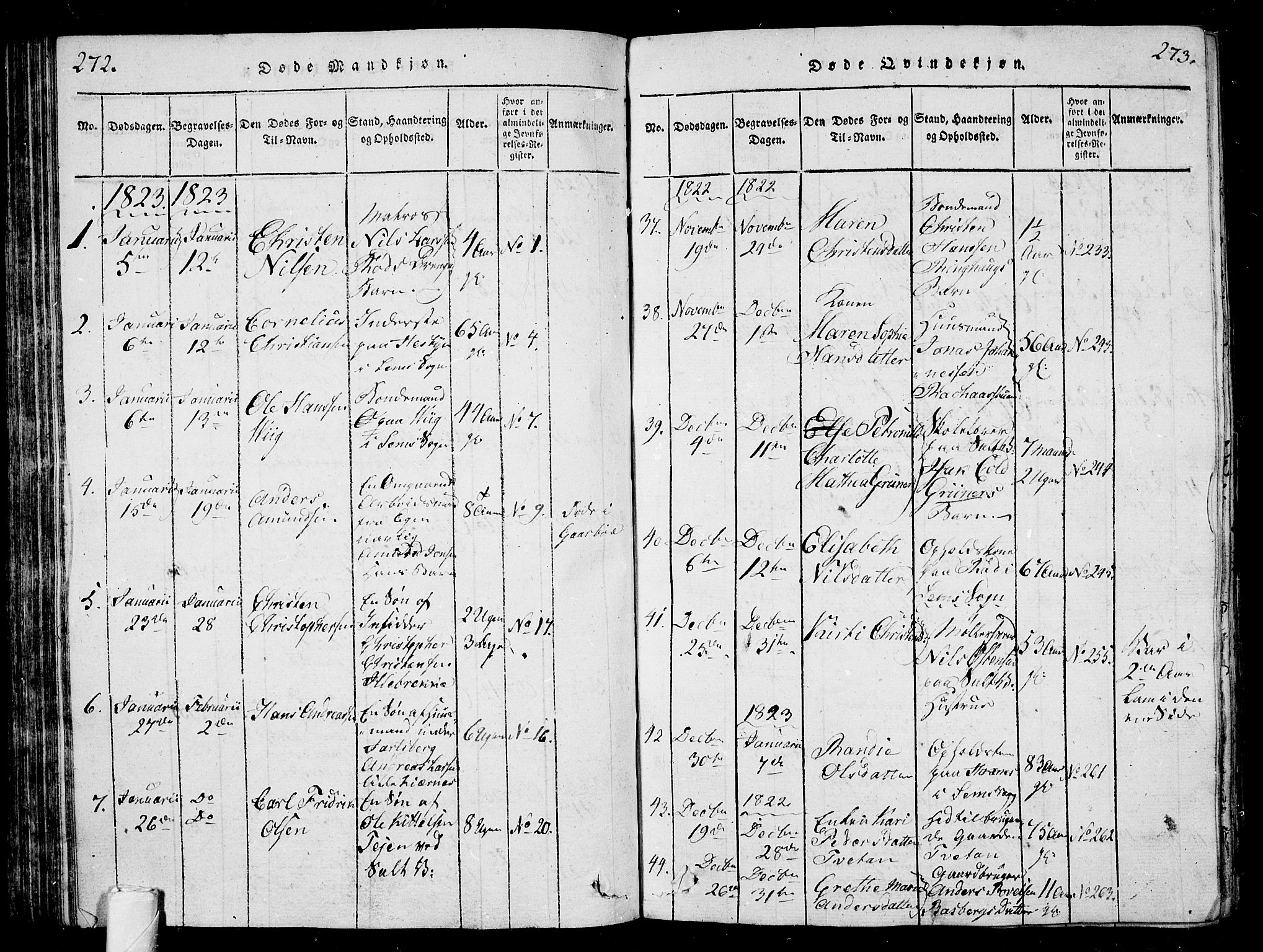 Sem kirkebøker, AV/SAKO-A-5/G/Ga/L0001: Parish register (copy) no. I 1, 1814-1825, p. 272-273