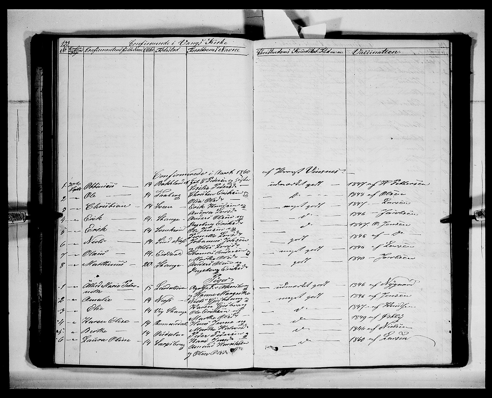 Vang prestekontor, Hedmark, SAH/PREST-008/H/Ha/Hab/L0011: Parish register (copy) no. 11, 1855-1878, p. 133