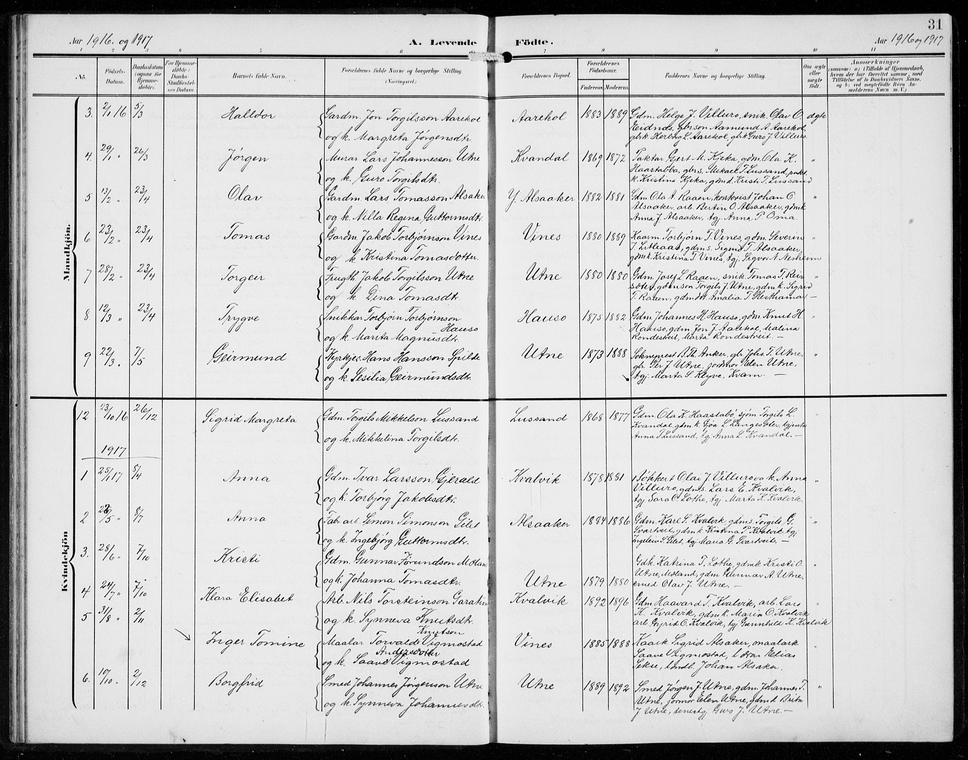 Ullensvang sokneprestembete, SAB/A-78701/H/Hab: Parish register (copy) no. F  1, 1902-1935, p. 31